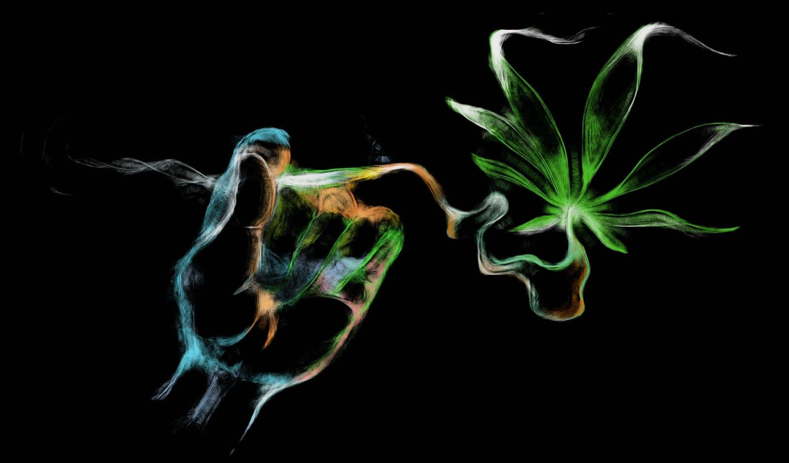 發光的手釋放彩色煙霧，在黑色背景上變形成綠色葉子。
