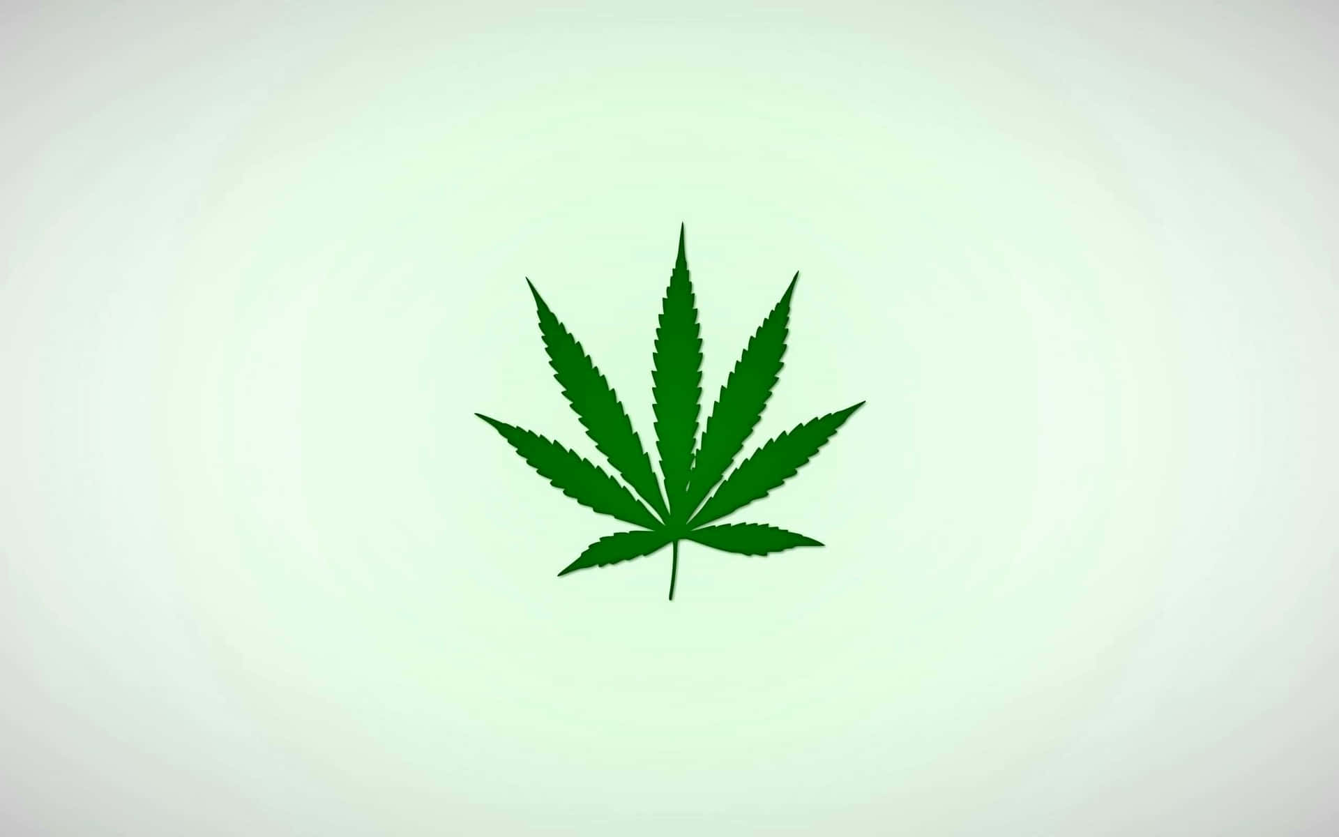 一片綠色大麻葉在淺色漸變背景上。