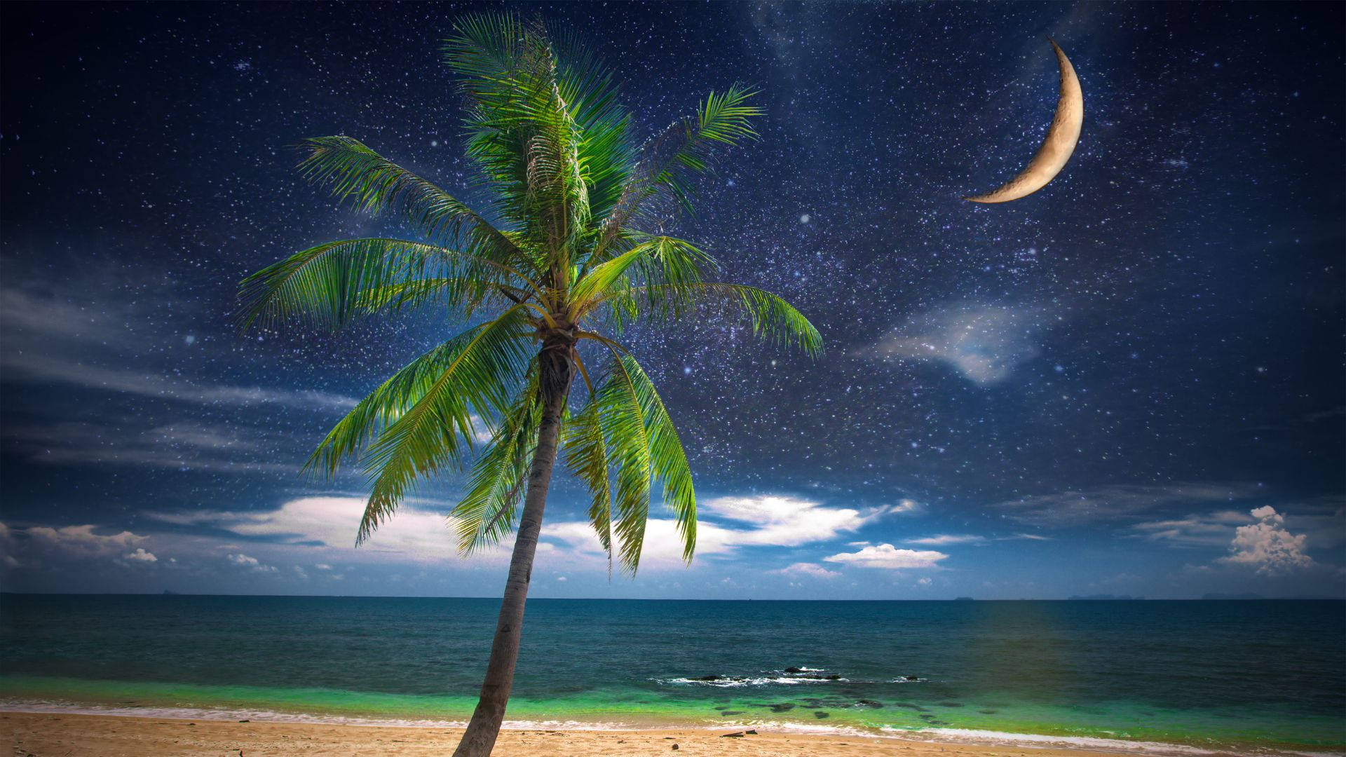 孤獨的棕櫚樹在沙灘上，夜空繁星，新月和碧綠海洋。