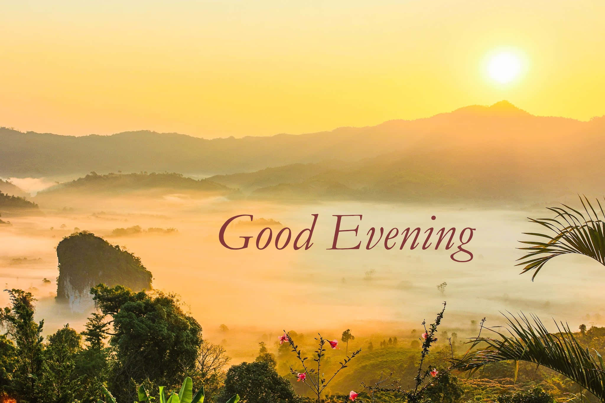 擁抱放鬆的夜晚 壁紙 — 金色夕陽以溫暖光芒沐浴霧氣籠罩的山巒，棕櫚葉框出寧靜山谷，並附有「晚上好」文字。
