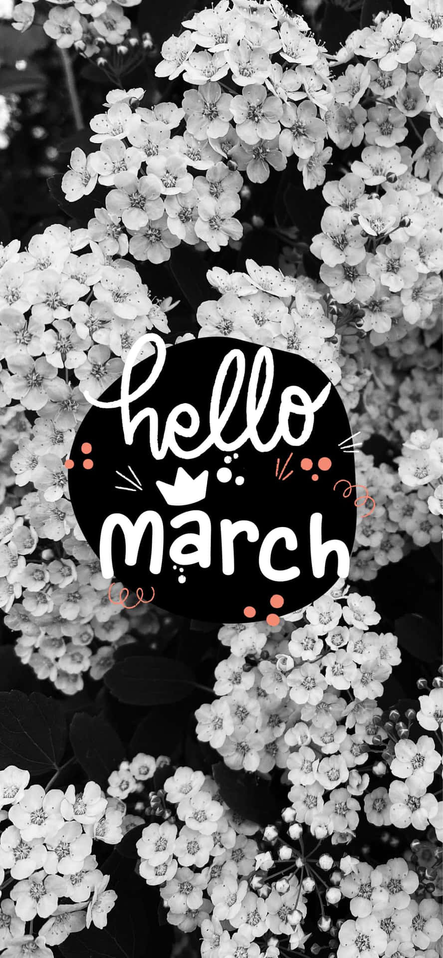 黑白花卉背景，帶有hello march文字圖形。