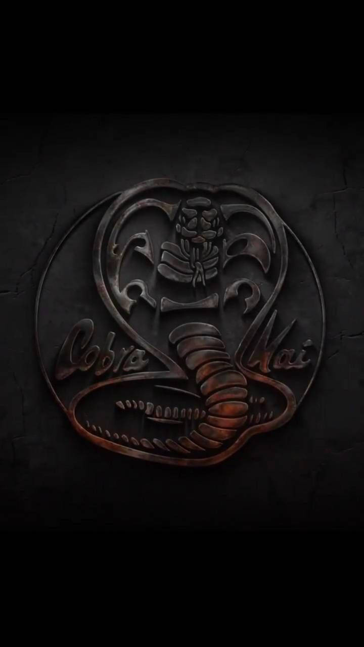 Cobra Kai 標誌以金屬雕刻在破裂的牆上