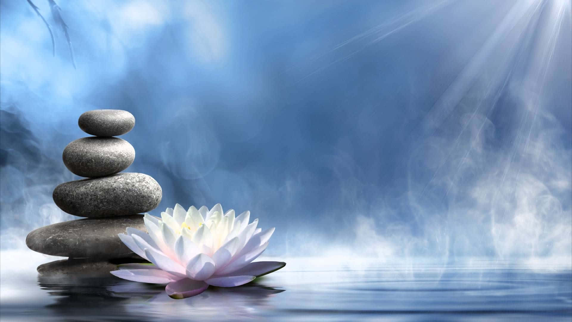 擁抱此刻 壁紙 — 一疊寧靜的灰色石頭和一朵白色蓮花在柔和藍色光線下漂浮在平靜的水面上。