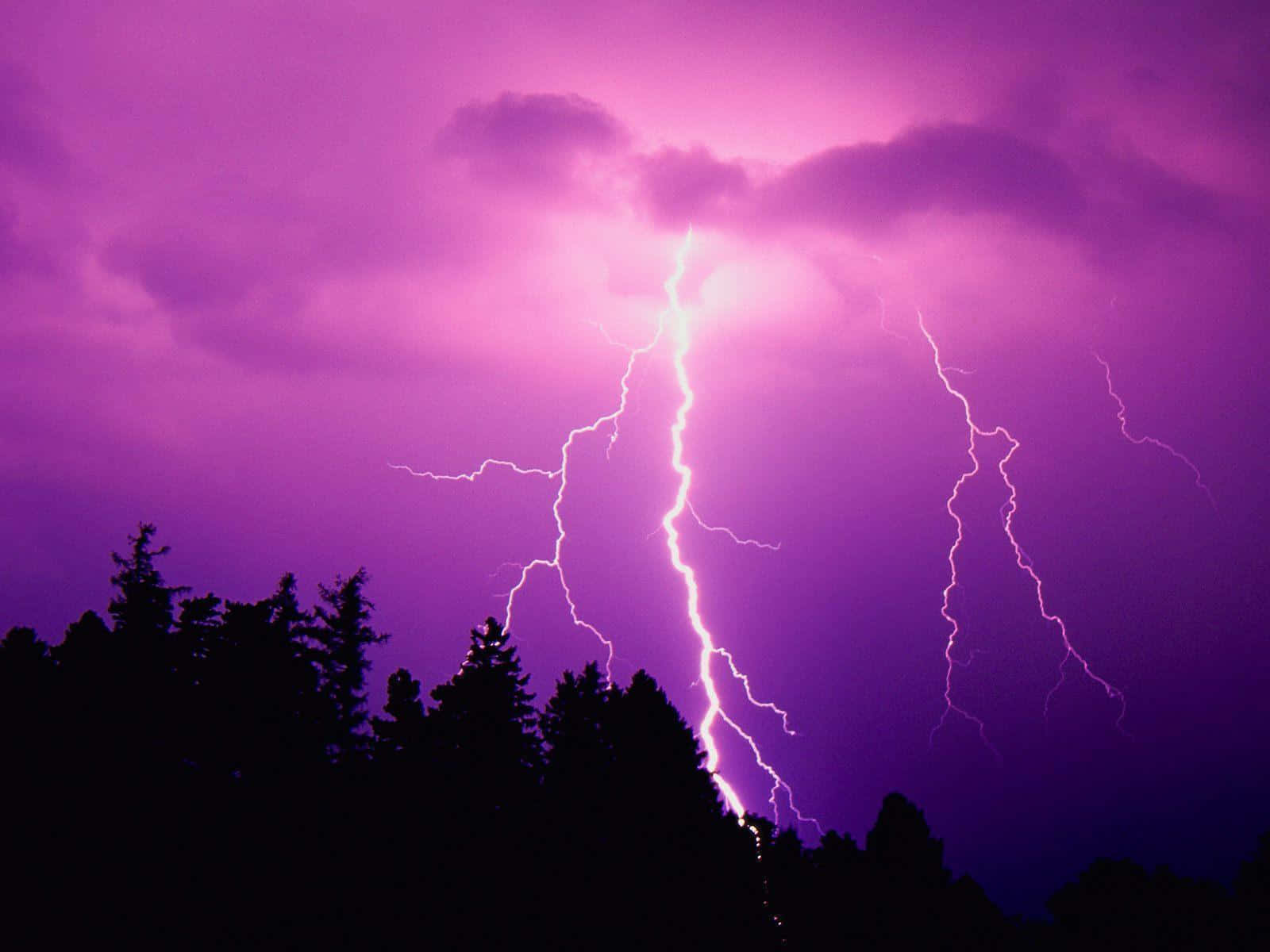 夜間紫色閃電劃過黑暗森林上空。