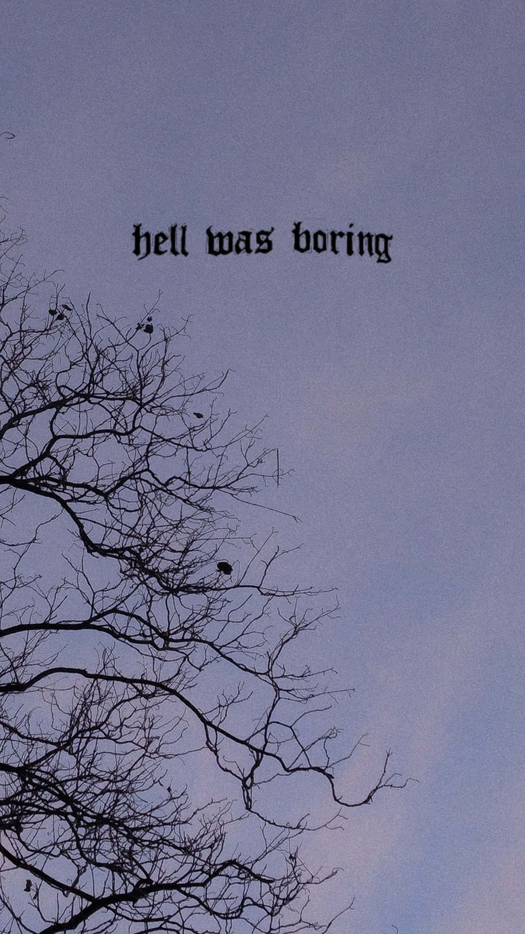光禿禿的樹枝映襯著暗色的天空，帶有「hell was boring」的文字。