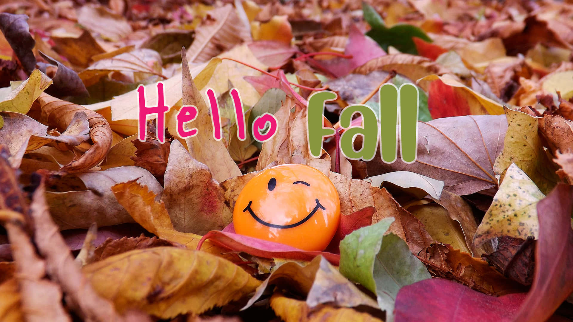 橙色笑臉波波在色彩繽紛的落葉中，帶有Hello Fall文字。