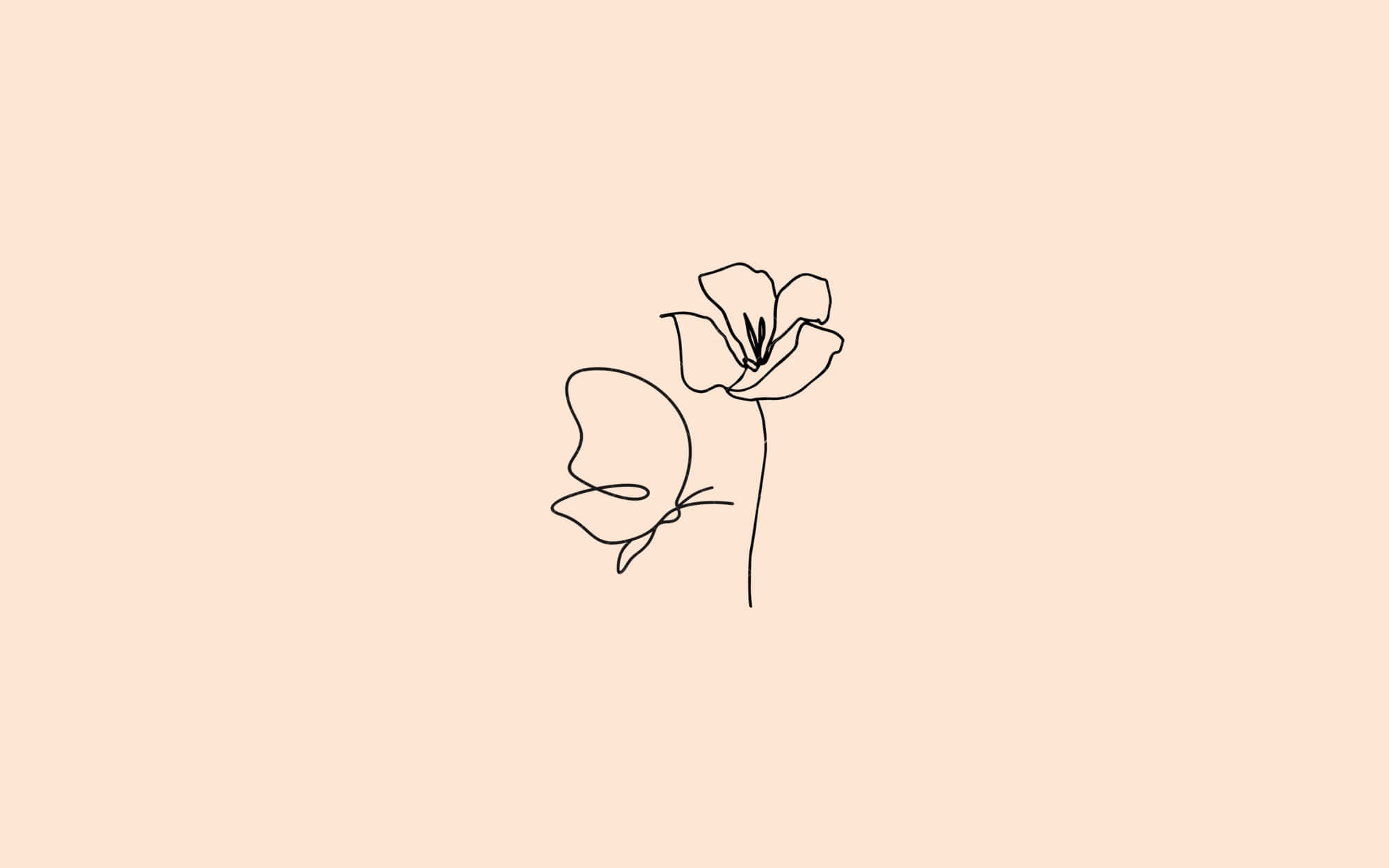 蜜桃色背景上的精緻線條花朵和蝴蝶圖案。