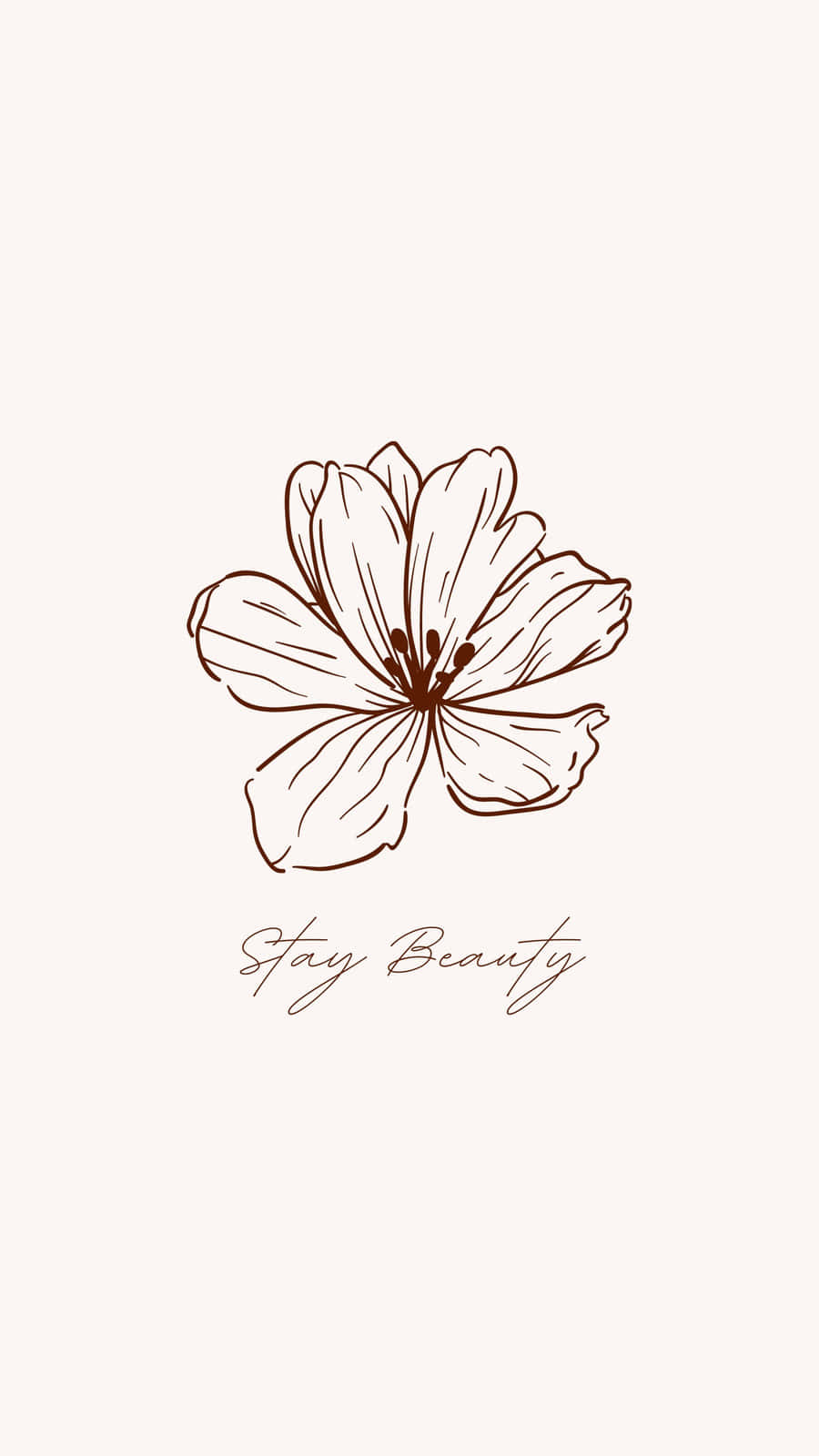 一朵簡單的棕色線條畫花，下方有「Stay Beauty」字樣。