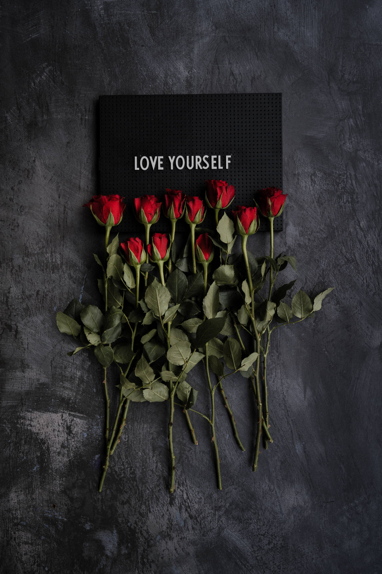 紅玫瑰圍繞著一個黑色標牌，上面寫著 love yourself，位於深灰色牆壁上。