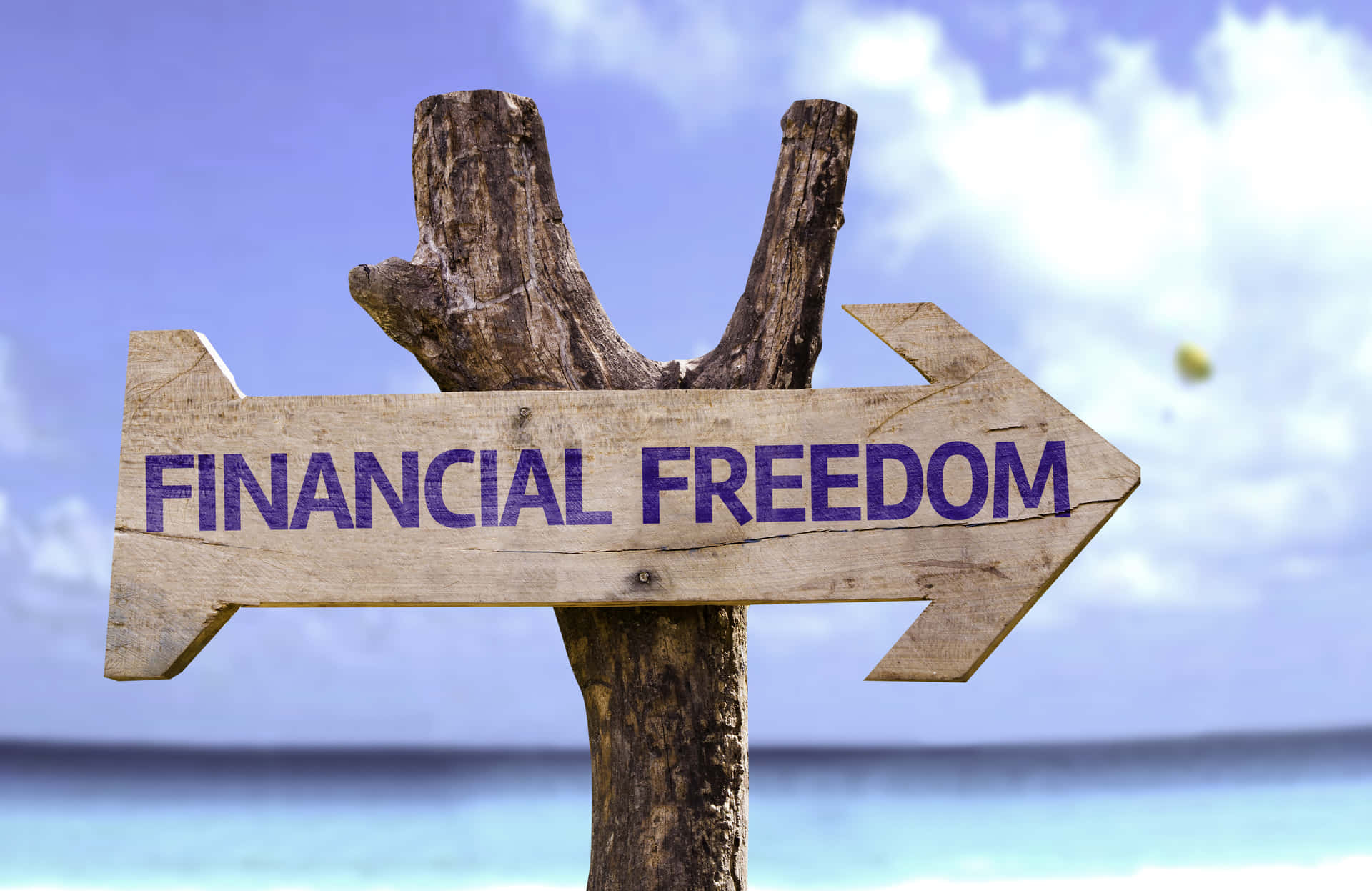 木製標牌指向右方，上面寫著 financial freedom，背景是海洋和天空。