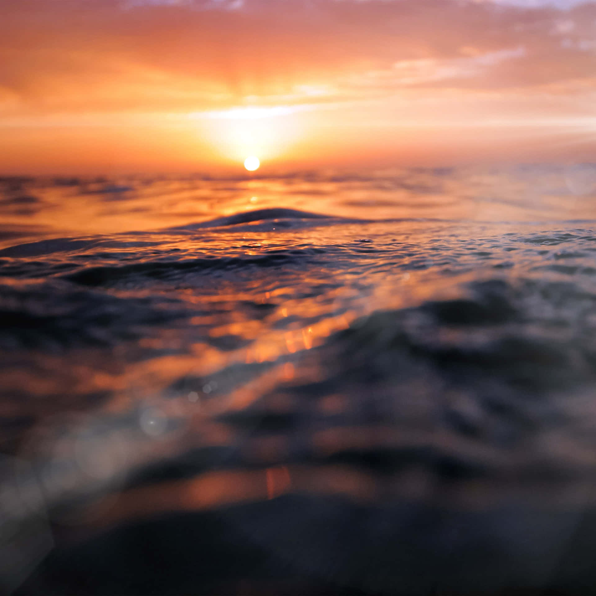 海上的夕陽，發光的水面和柔和焦點的前景。