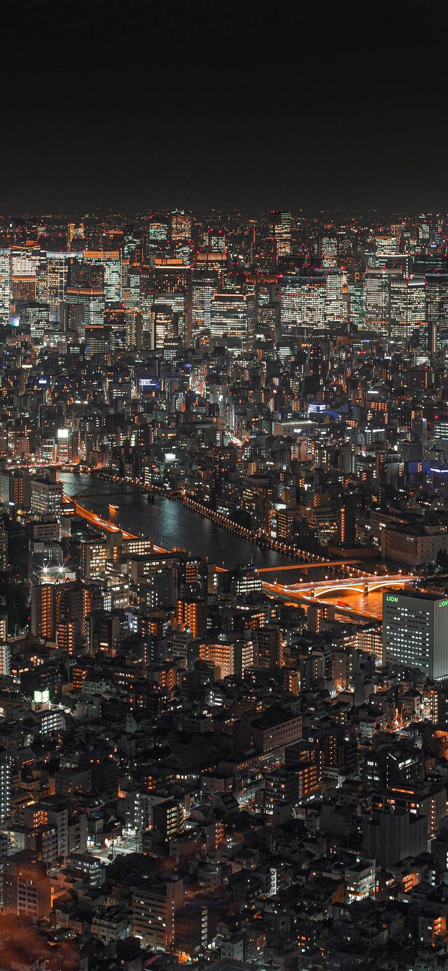夜間航拍圖，閃爍的城市、河流與橋樑。