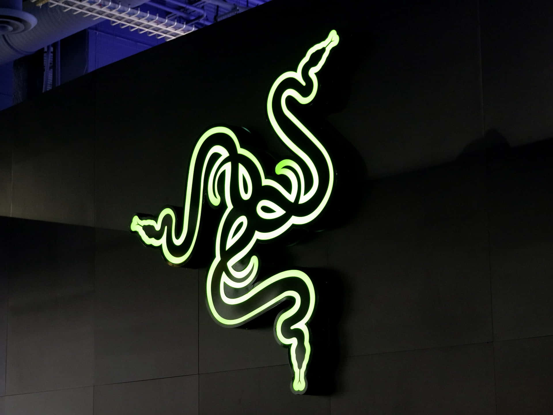 深色瓷磚牆上發光的霓虹綠色Razer蛇標誌。