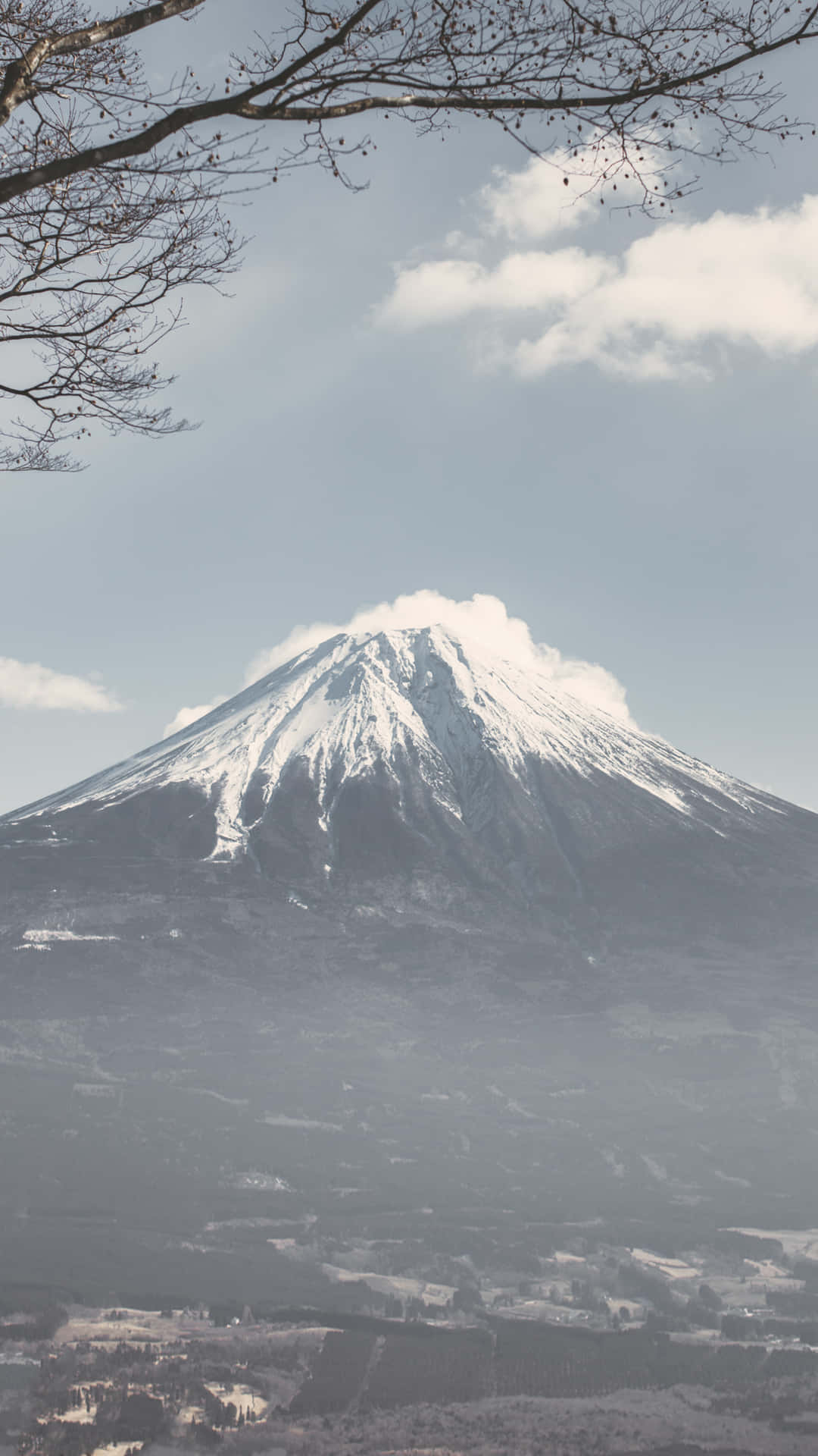 從上方俯瞰白雪皚皚的富士山，前景是光禿的樹枝。