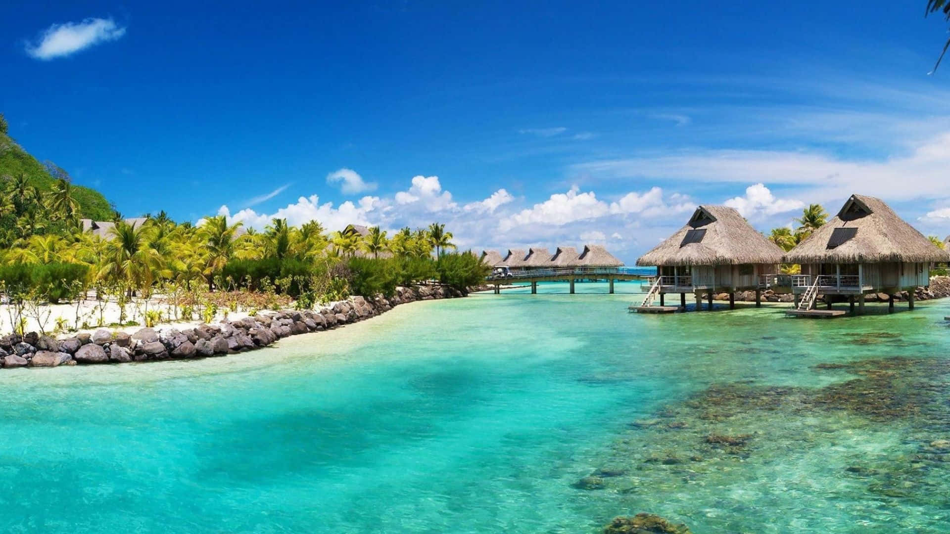擁有美麗天空的全高清風景 壁紙 — 清澈碧綠的潟湖，水上平房和茂密的棕櫚樹，在明亮的藍天下。