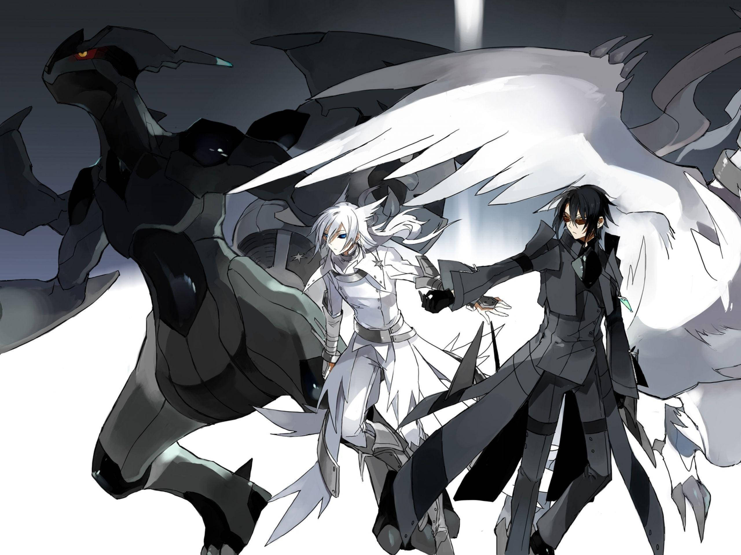 擬人化 Zekrom 與 Reshiram 壁紙 — 兩個動漫角色，擁有對比鮮明的黑色和白色翅膀，在黑暗背景前蓄勢待發，身後有一個陰影般的龍形生物潛伏著。