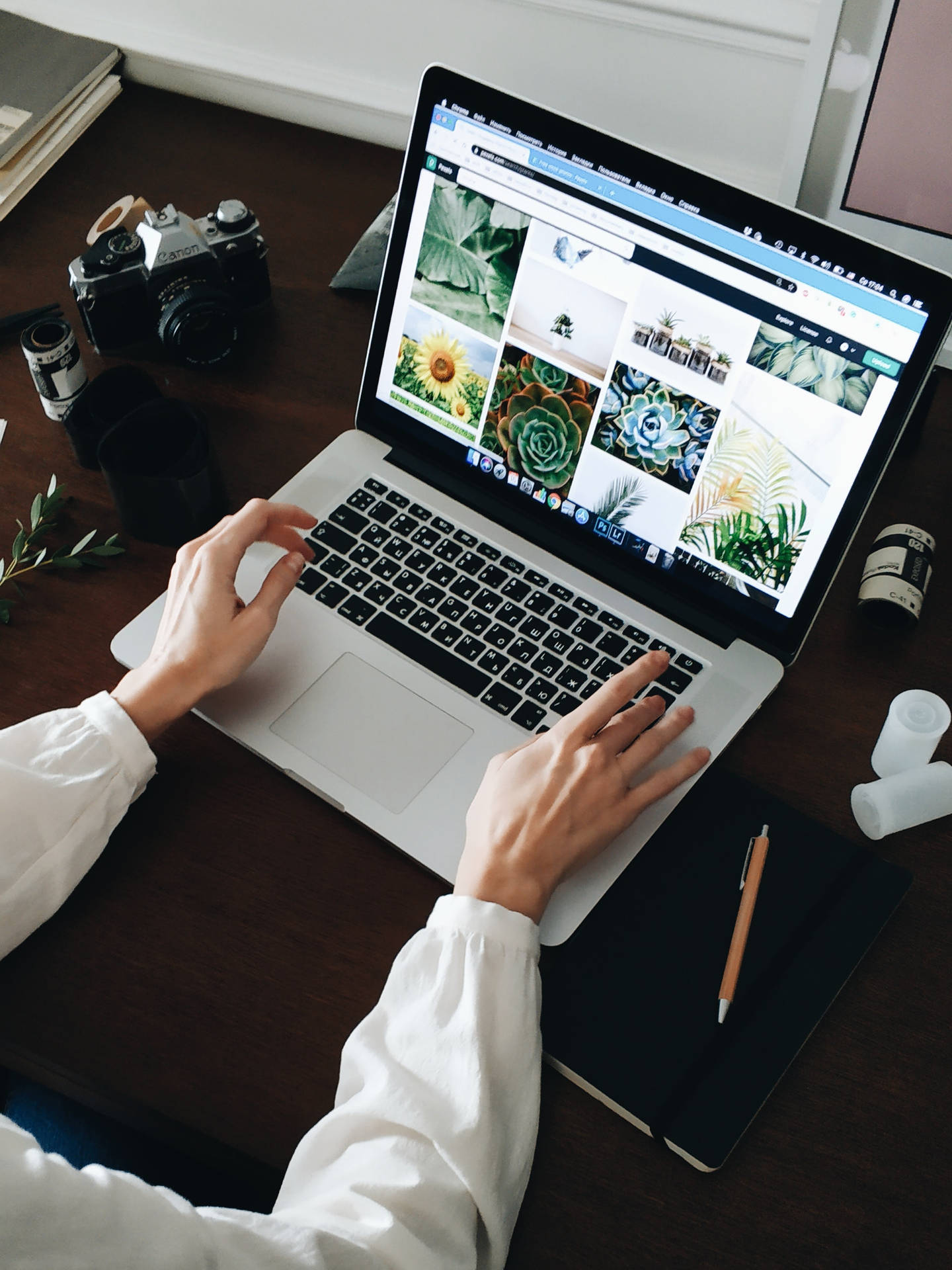 Person typing on laptop showing plant wallpaper gallery at wooden desk with camera