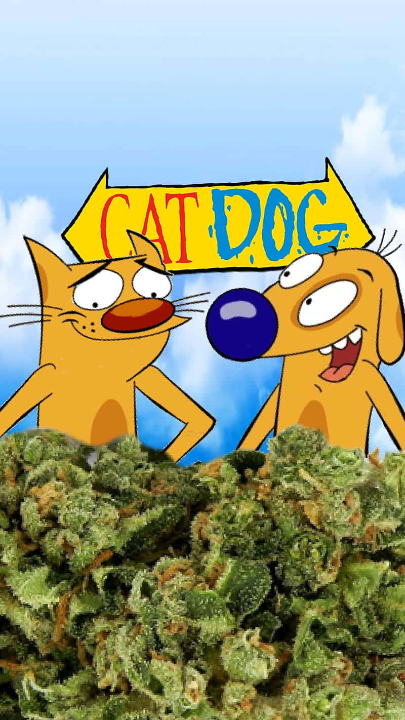 卡通貓狗喺綠色大麻花蕾上面偷望，仲有個「CAT DOG」牌。
