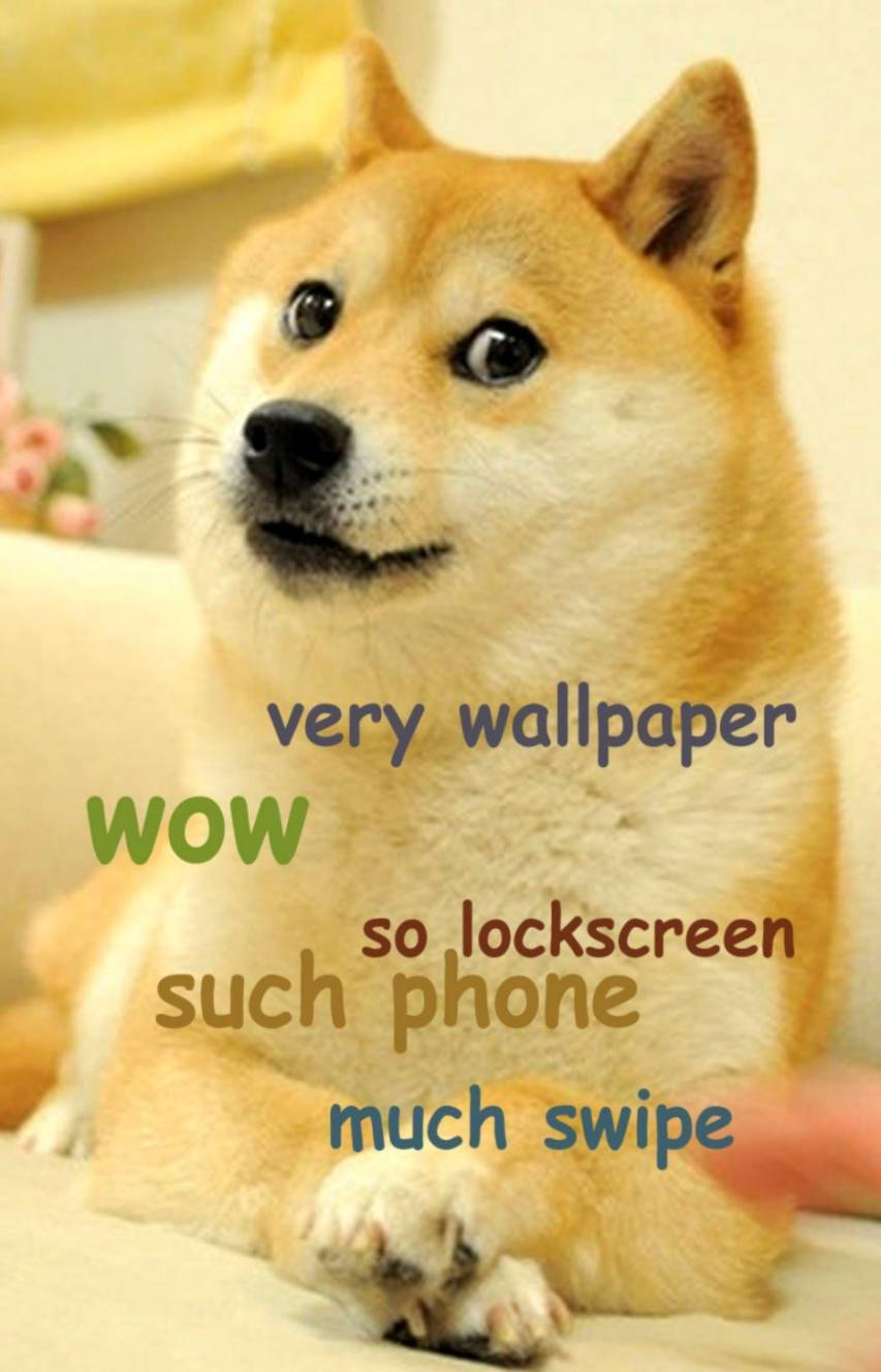 柴犬露出驚訝表情，梳化上有迷因文字。
