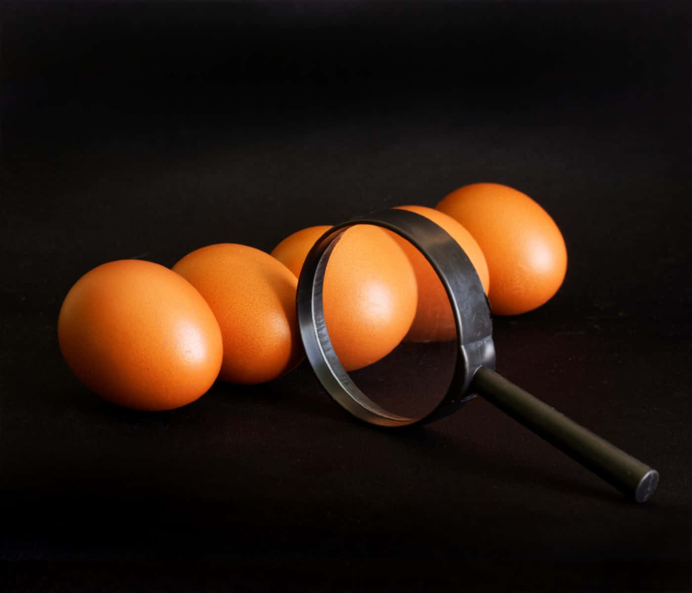 Eggshell 桌布 壁紙 — 放大鏡擱在一排光滑的橙色雞蛋上，背景是純黑色。
