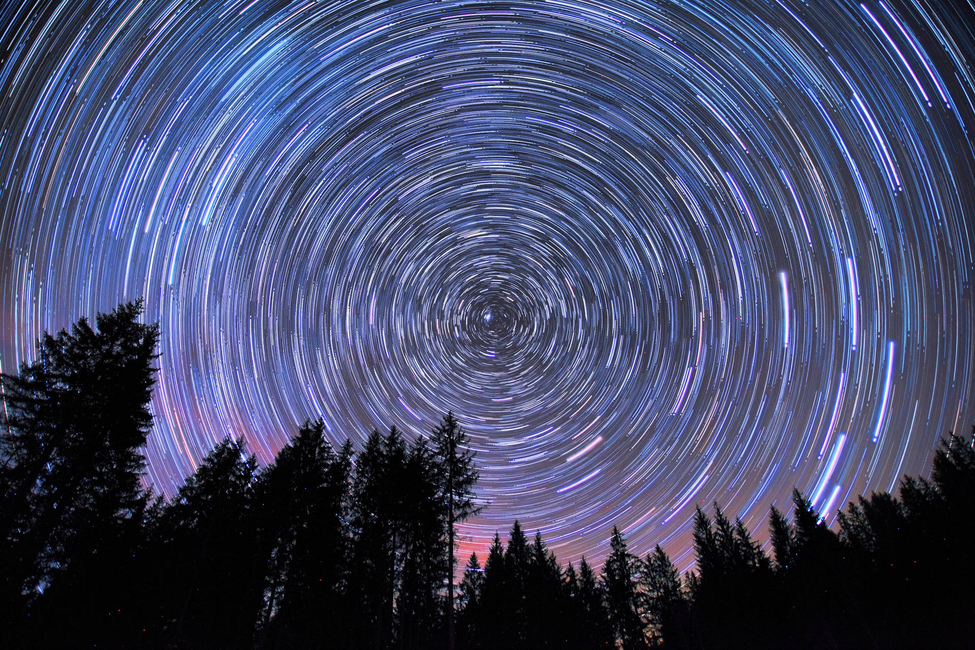星軌在夜間黑暗森林上方旋轉。