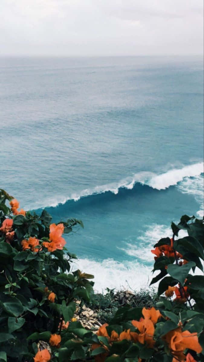 在陰天下，懸崖上的橙色花朵俯瞰著拍打的海浪