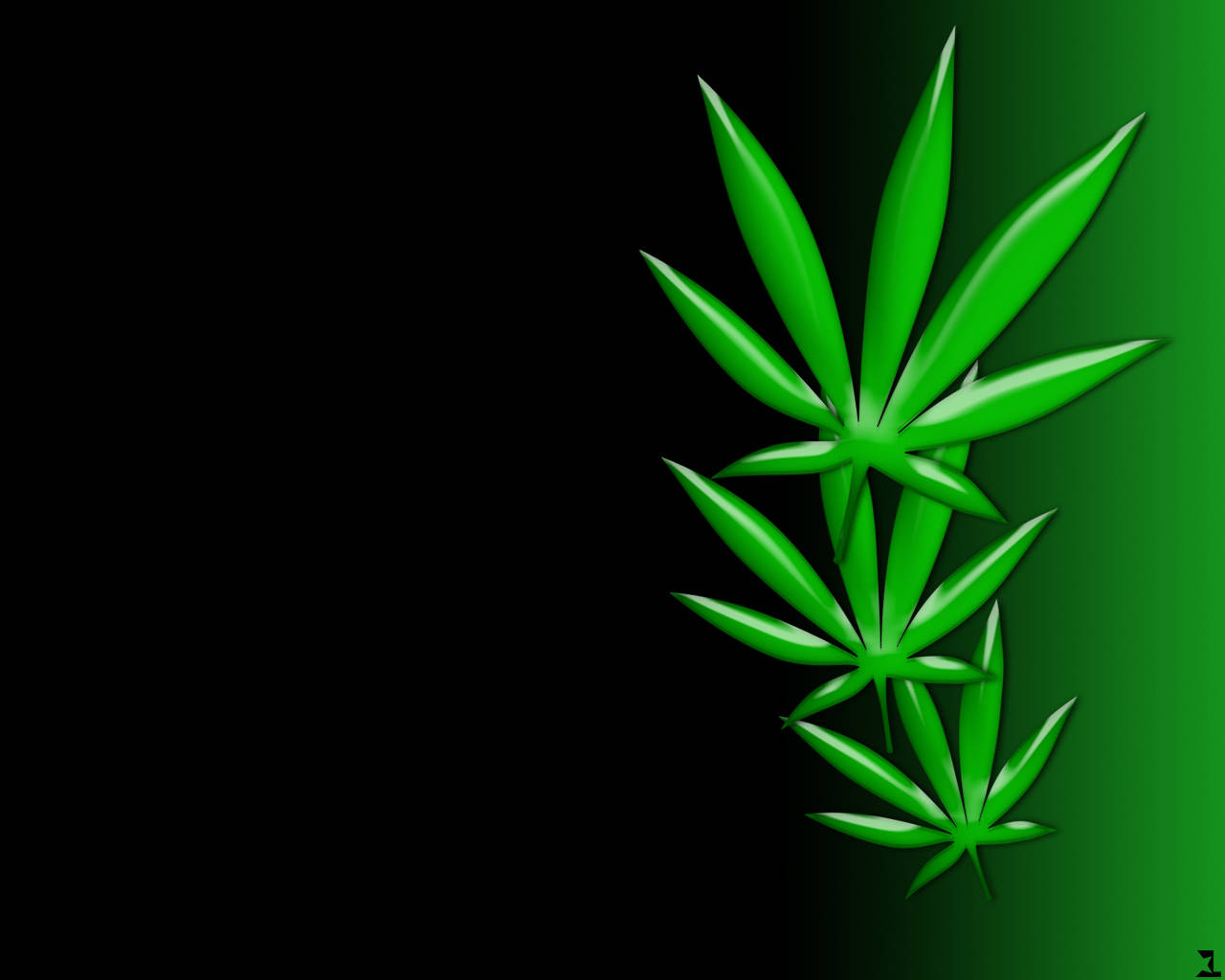 放鬆的嬉皮大麻 壁紙 — 充滿活力的綠色大麻葉在黑色到綠色的漸變背景上發光，帶有光澤高光。