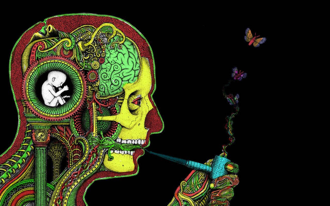 放鬆的嬉皮男子吐蝴蝶煙霧 壁紙 — 一個風格化的人類側面頭像，帶有複雜的綠色、黃色和紅色圖案，揭示齒輪內部的胎兒，煙霧形成蝴蝶，背景為黑色。