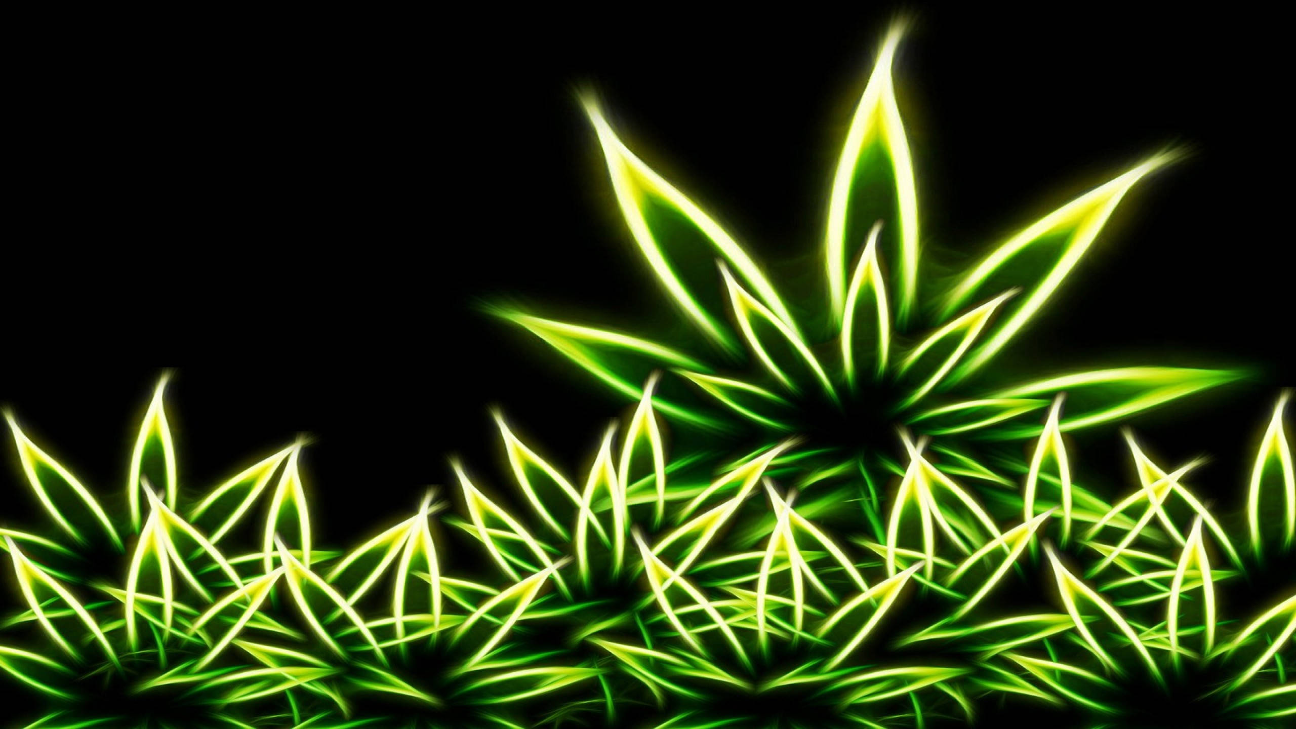 放鬆的嬉皮霓虹綠大麻 壁紙 — 充滿活力的霓虹綠色大麻葉在漆黑背景上發光，帶有電光輪廓。