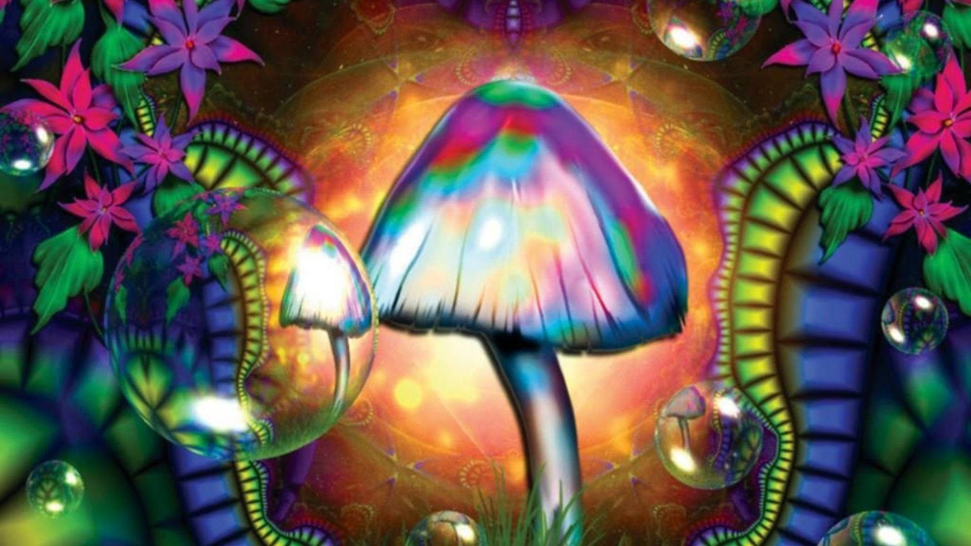 放鬆的潮人蘑菇 壁紙 — 一朵迷幻彩虹蘑菇在漂浮的泡泡和鮮豔花朵中發光，構成超現實的奇幻場景。