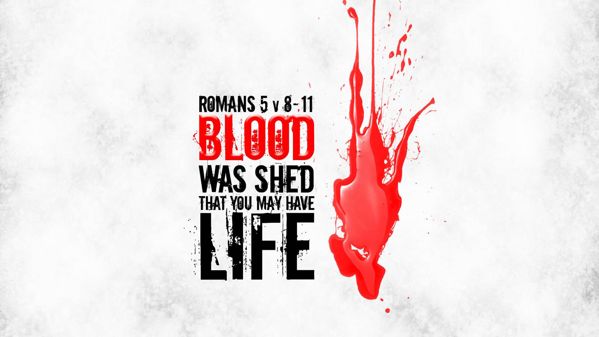 救贖經文壁紙 壁紙 — 粗體文字宣告 'BLOOD WAS SHED THAT YOU MAY HAVE LIFE' 旁邊有鮮紅色的血濺圖案在紋理白色背景上。