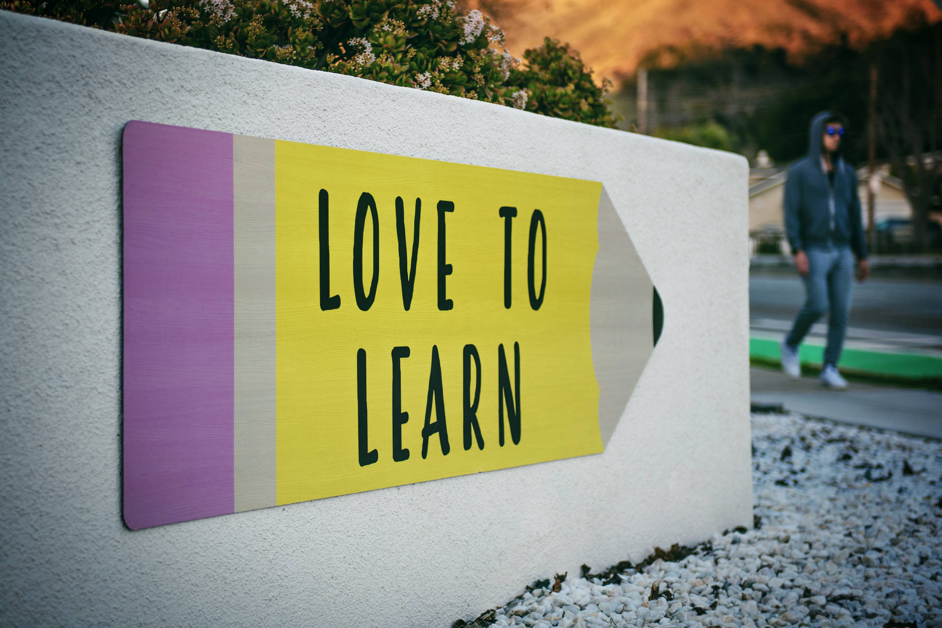 一個彩色鉛筆標牌，上面寫著love to learn，安裝在牆壁上，有一個人走過。
