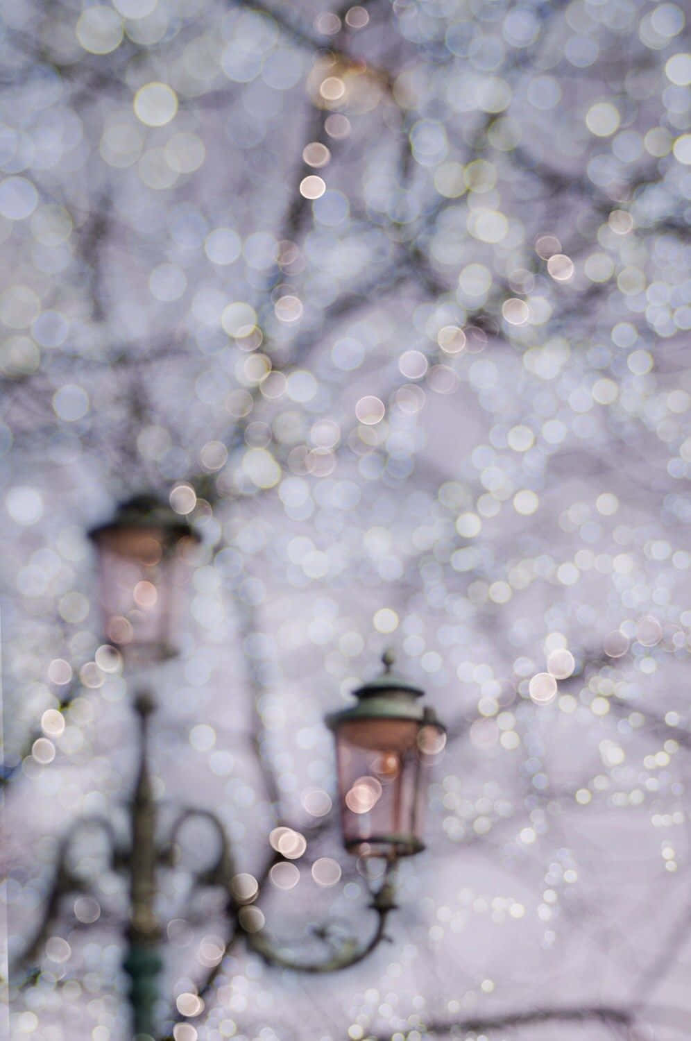 Winter Photography 桌布 壁紙 — 散景燈光在復古路燈後閃爍，映襯著光禿的冬季樹枝。