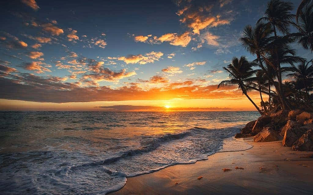 熱帶海灘日落，棕櫚樹和輕柔海浪