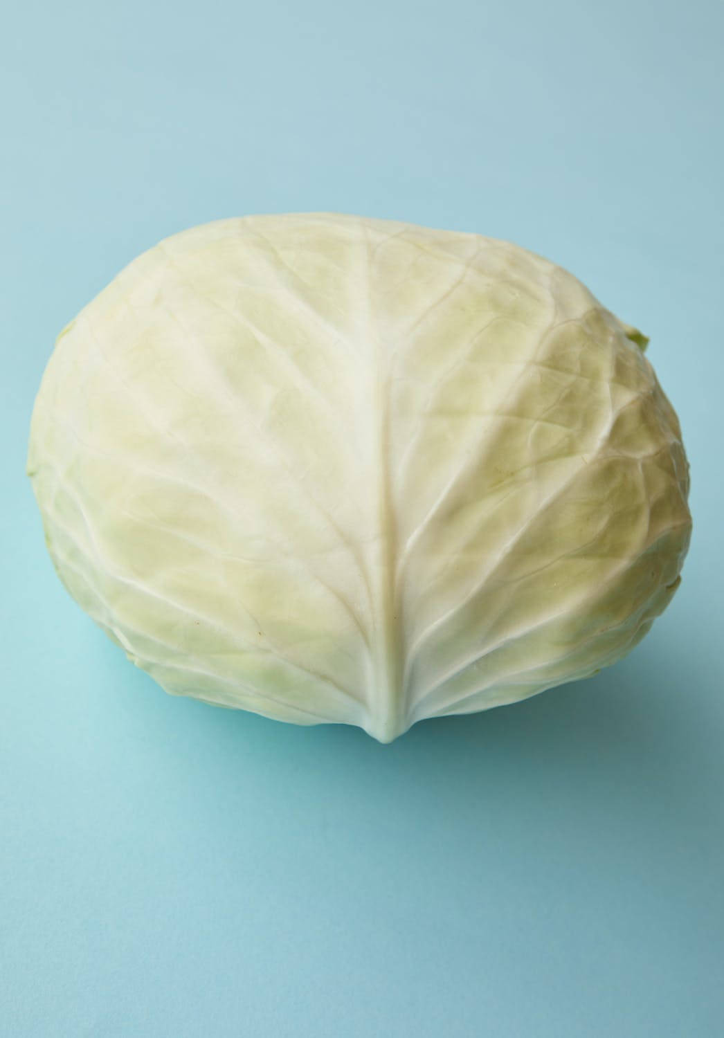 整顆捲心菜 壁紙 — 一個新鮮的綠色椰菜放在純淺藍色背景上，帶有柔和陰影和自然葉片紋理。