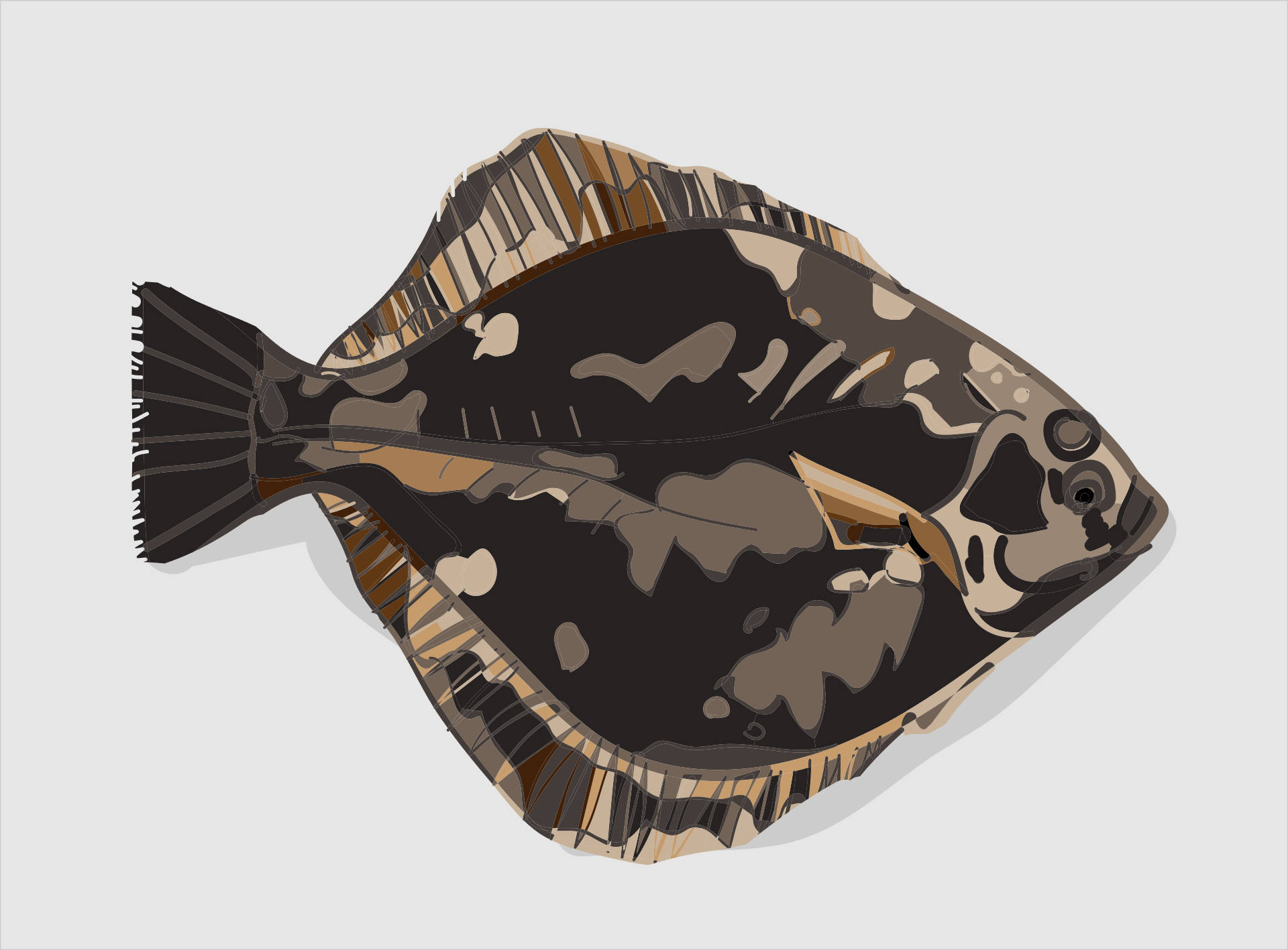 數位藝術作品：深色鱗片扁魚 壁紙 — 一幅風格化的比目魚插圖，在淺灰色背景上帶有醒目的黑色和大地棕色圖案。