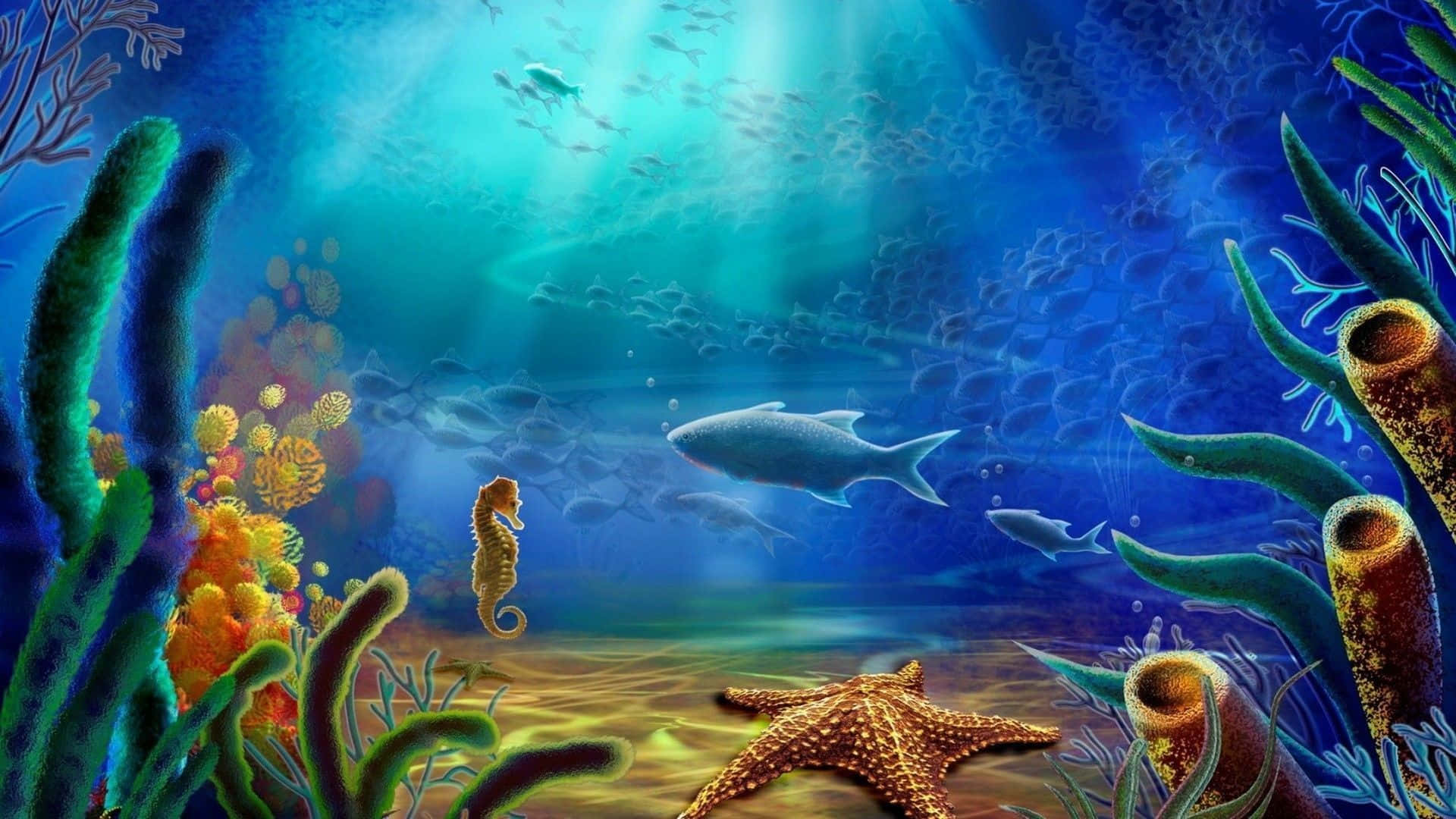 在陽光照射的海水下，色彩繽紛的珊瑚礁中有海馬魚和海星。
