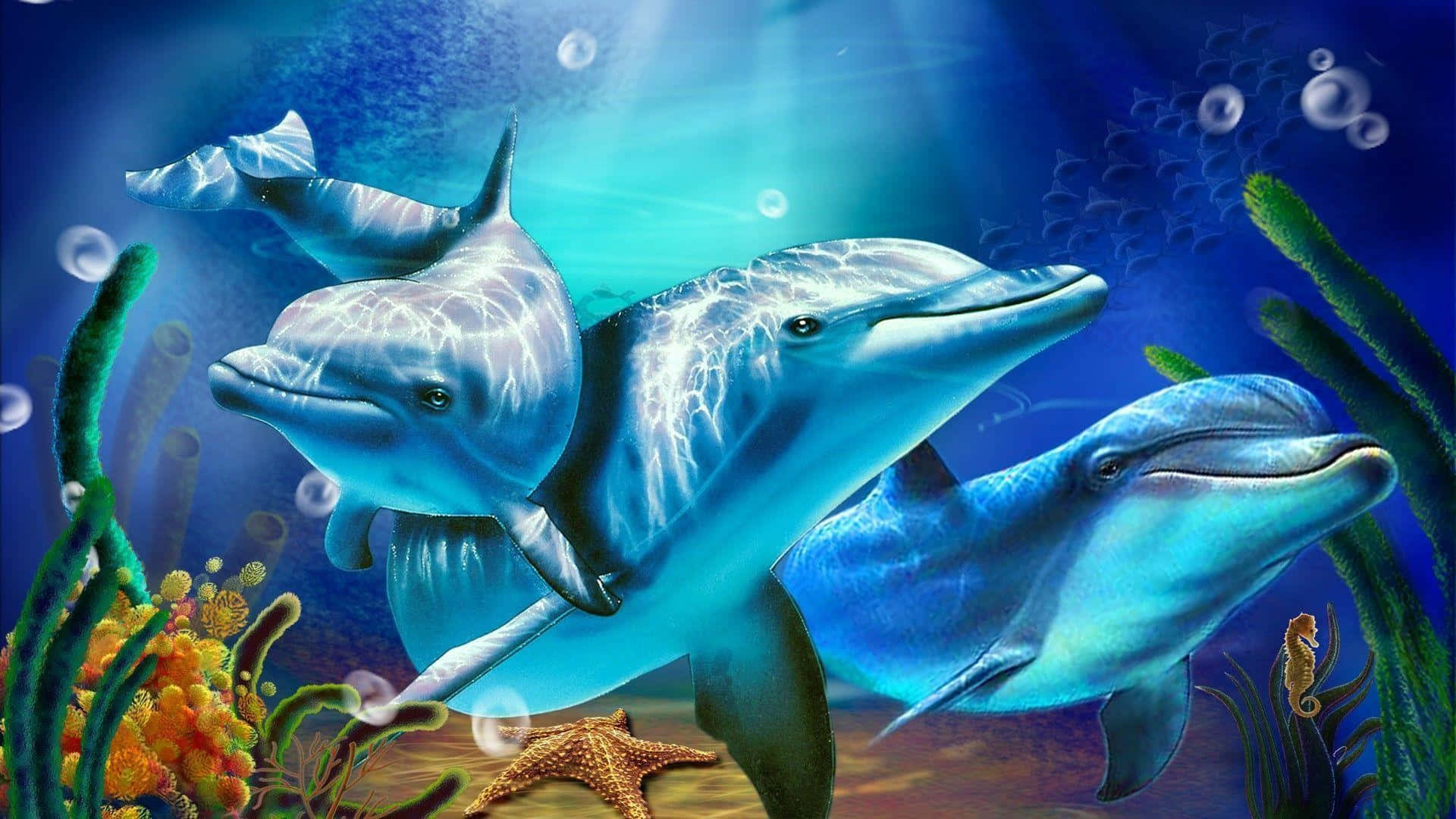 三條海豚在清澈的藍色海水中靠近珊瑚和海洋生物游泳。