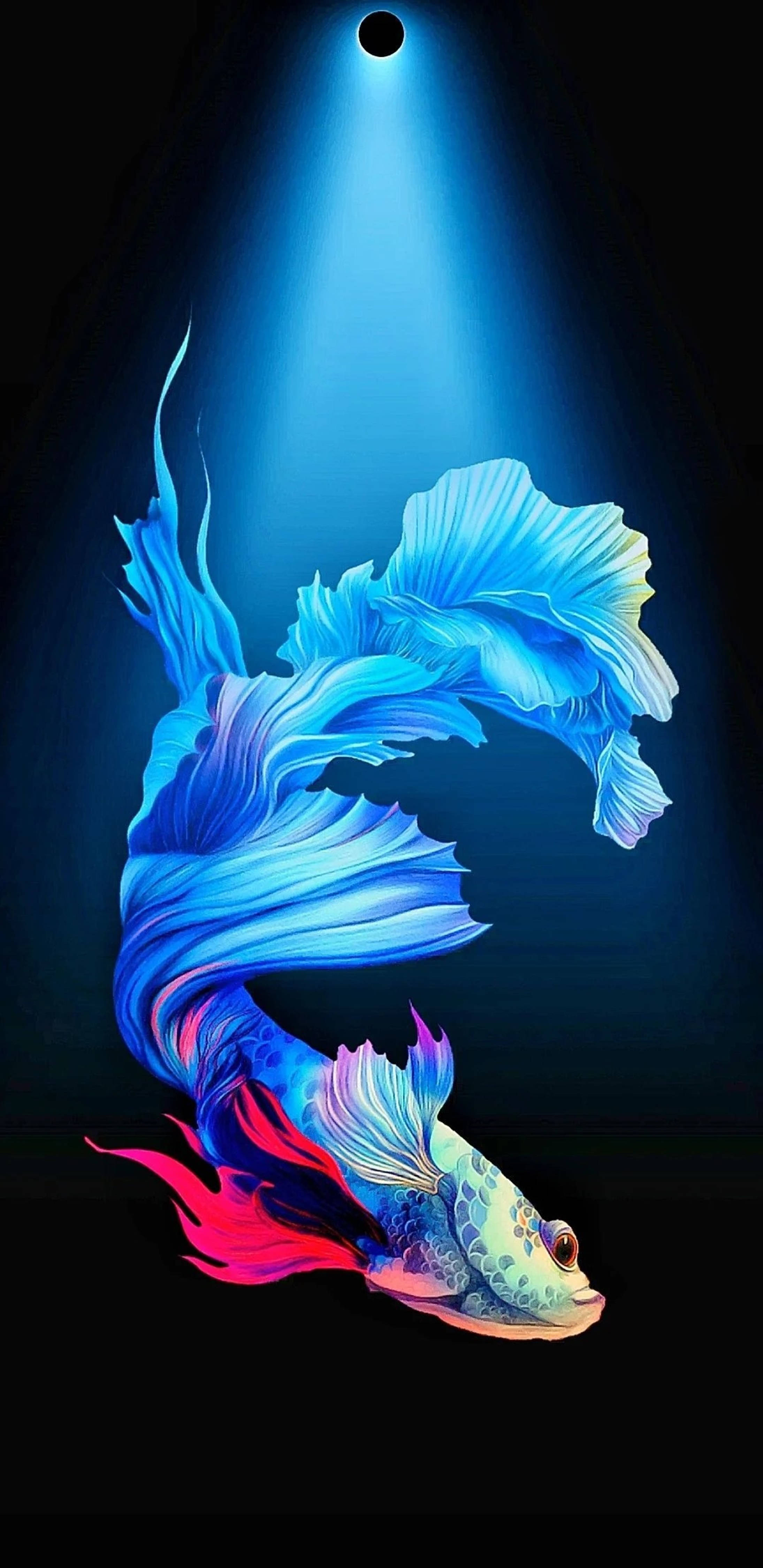 數位藝術藍色暹羅鬥魚 iPhone 壁紙 — 一條鮮豔的藍色和粉紅色鬥魚，帶有流暢的魚鰭，在聚光燈下向上游動，背景為深色。