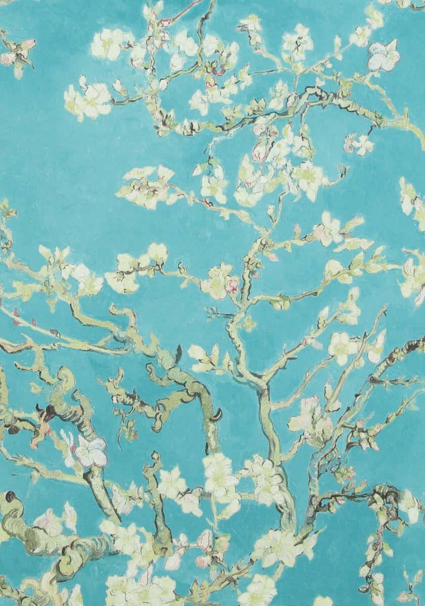 杏仁樹枝上盛開著白色花朵，映襯著鮮豔的藍綠色天空。