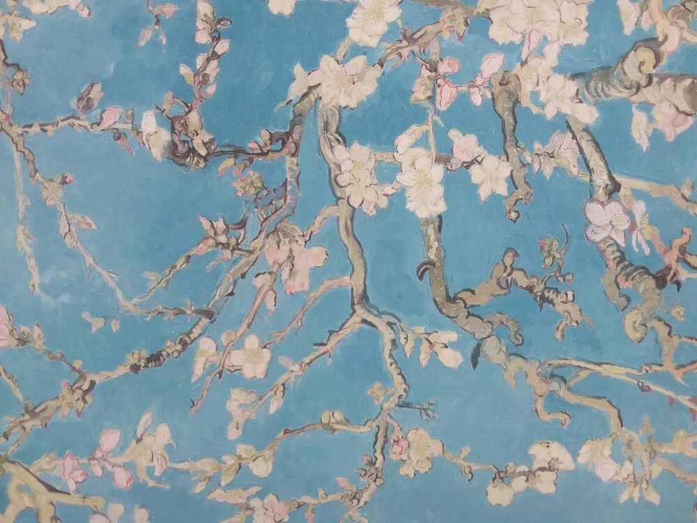 帶有粉紅色和白色花朵的杏仁花枝條映襯著藍天。