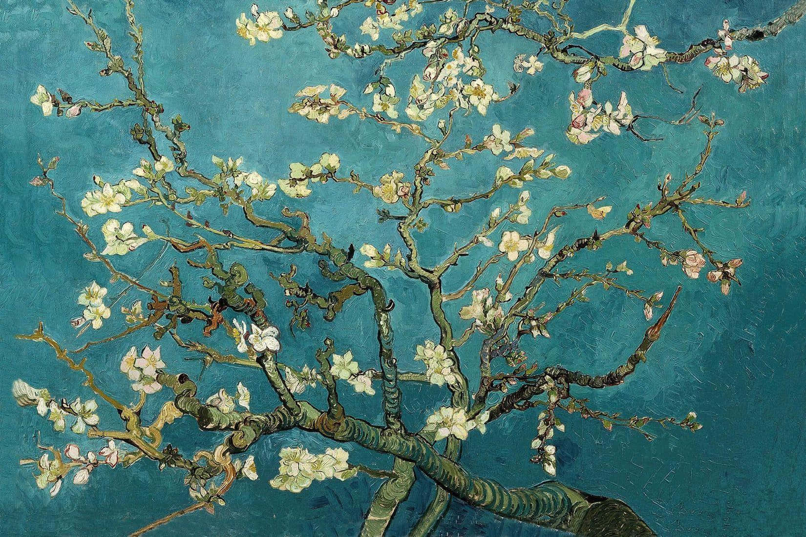梵高畫作，杏仁樹枝條上盛開白色花朵，以青綠色背景襯托。