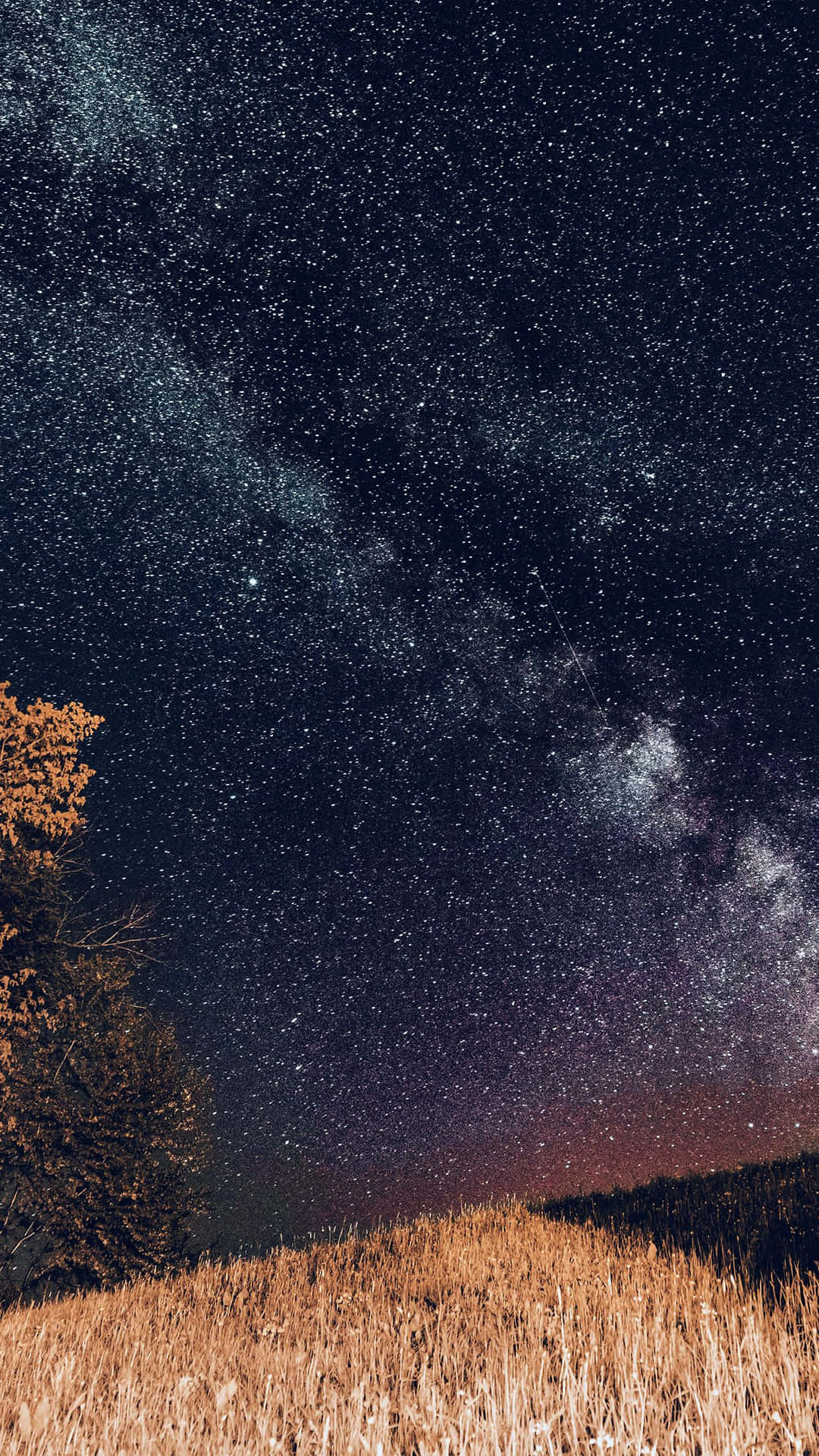 繁星點點的夜空，銀河在金色草地和樹上