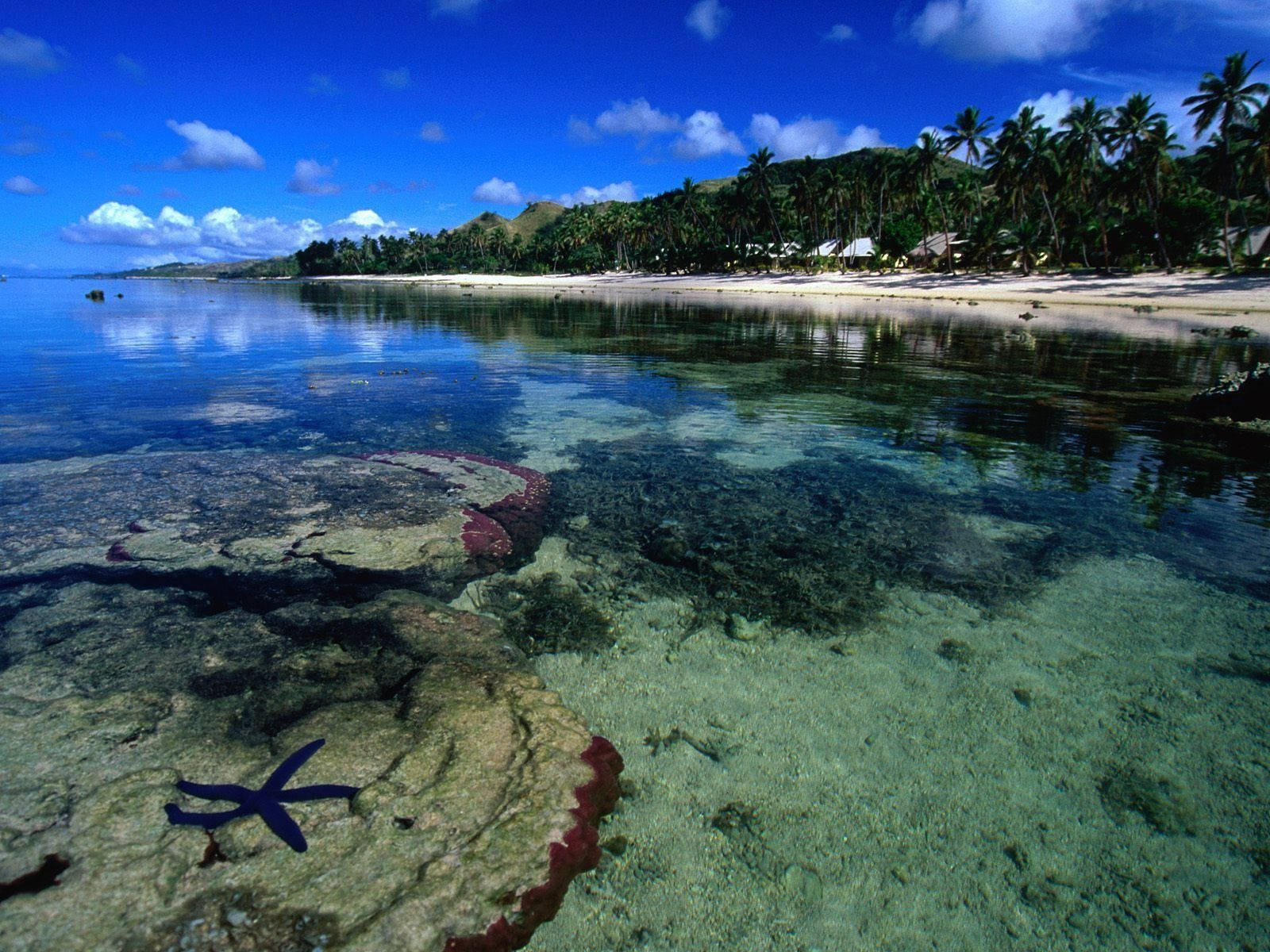 熱帶海灘 清澈海水 珊瑚 海星 藍天
