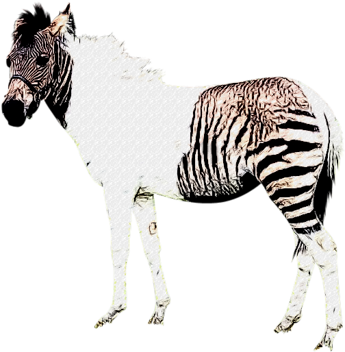 斑馬馬類混合插畫 壁紙 — 一匹斑馬半身帶條紋，在純黑背景下形成強烈對比。