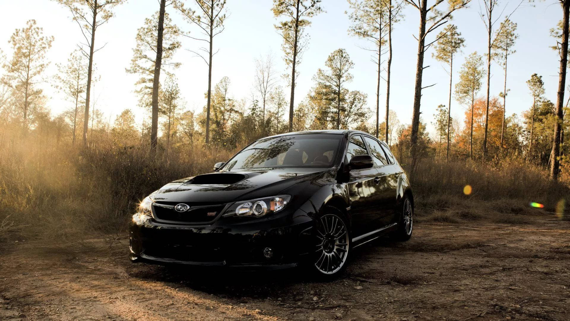 斯巴魯Impreza置身林間 壁紙 — 一架時尚黑色Subaru WRX STI停泊在陽光明媚的秋日森林中的泥路上，周圍是高聳的松樹。