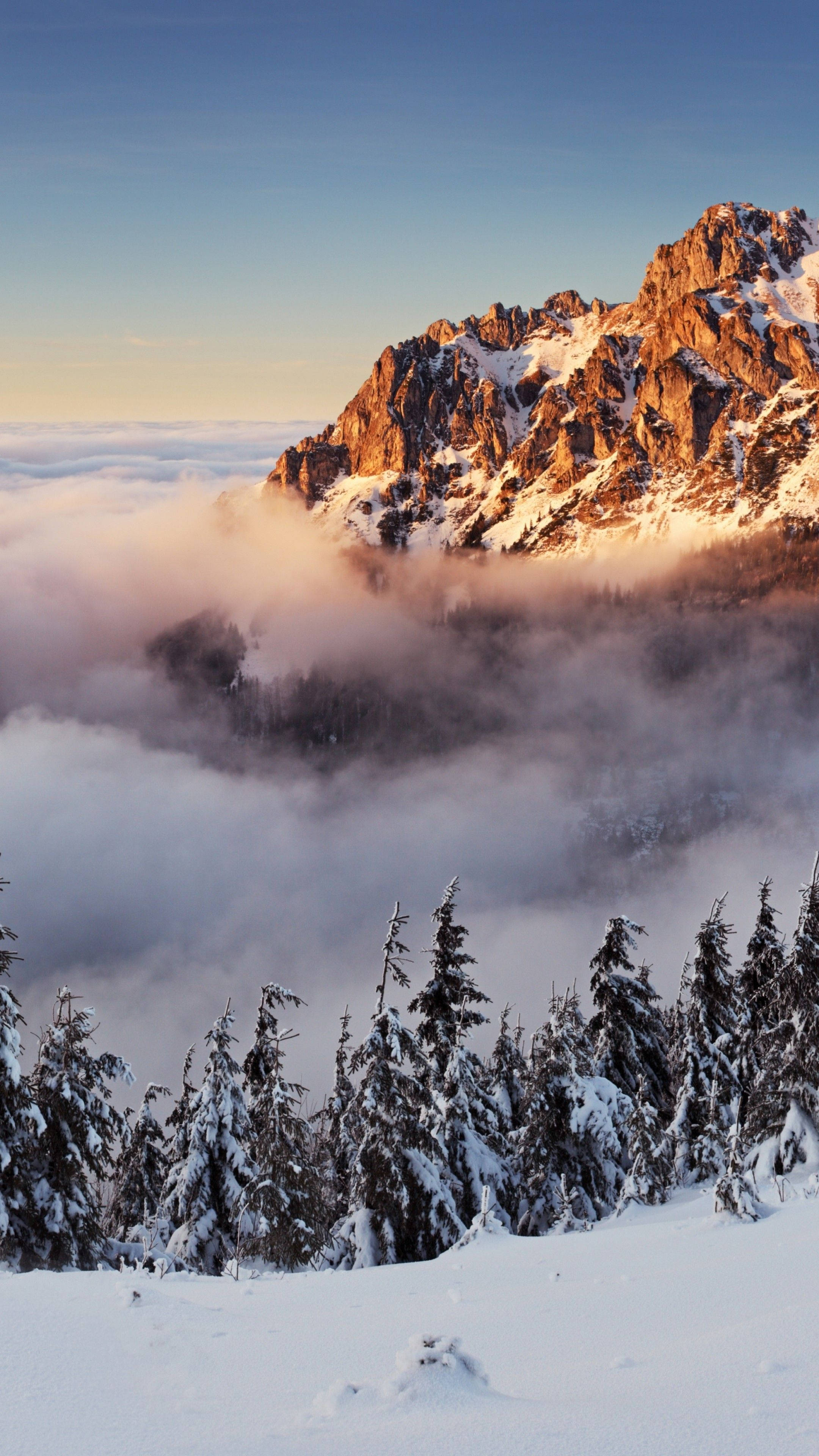 斯洛伐克冬季風景 壁紙 — 積雪的山峰在日出時升起於雲海之上，前景有松樹。