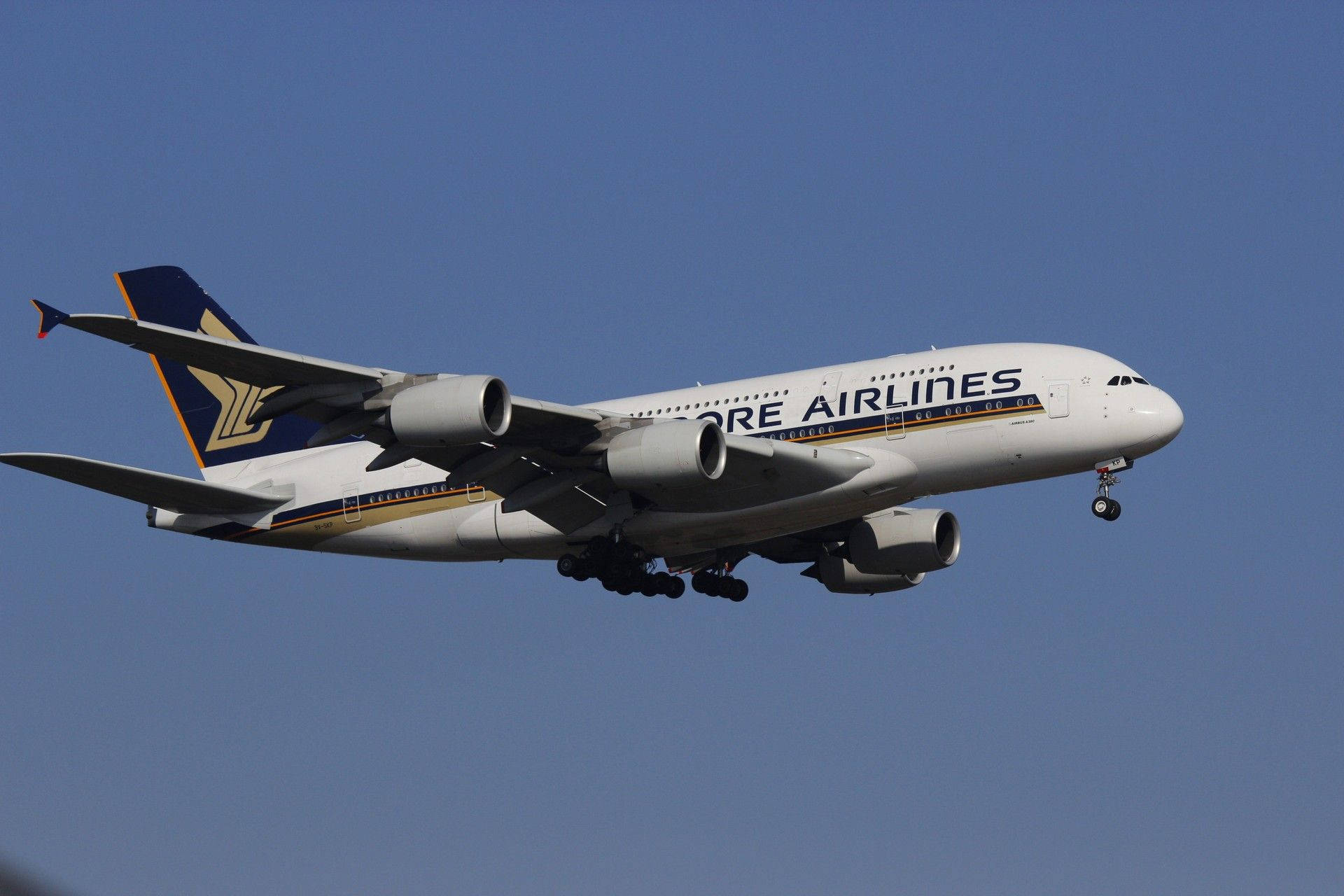 新加坡航空A380飛機在藍天下降落，起落架放下