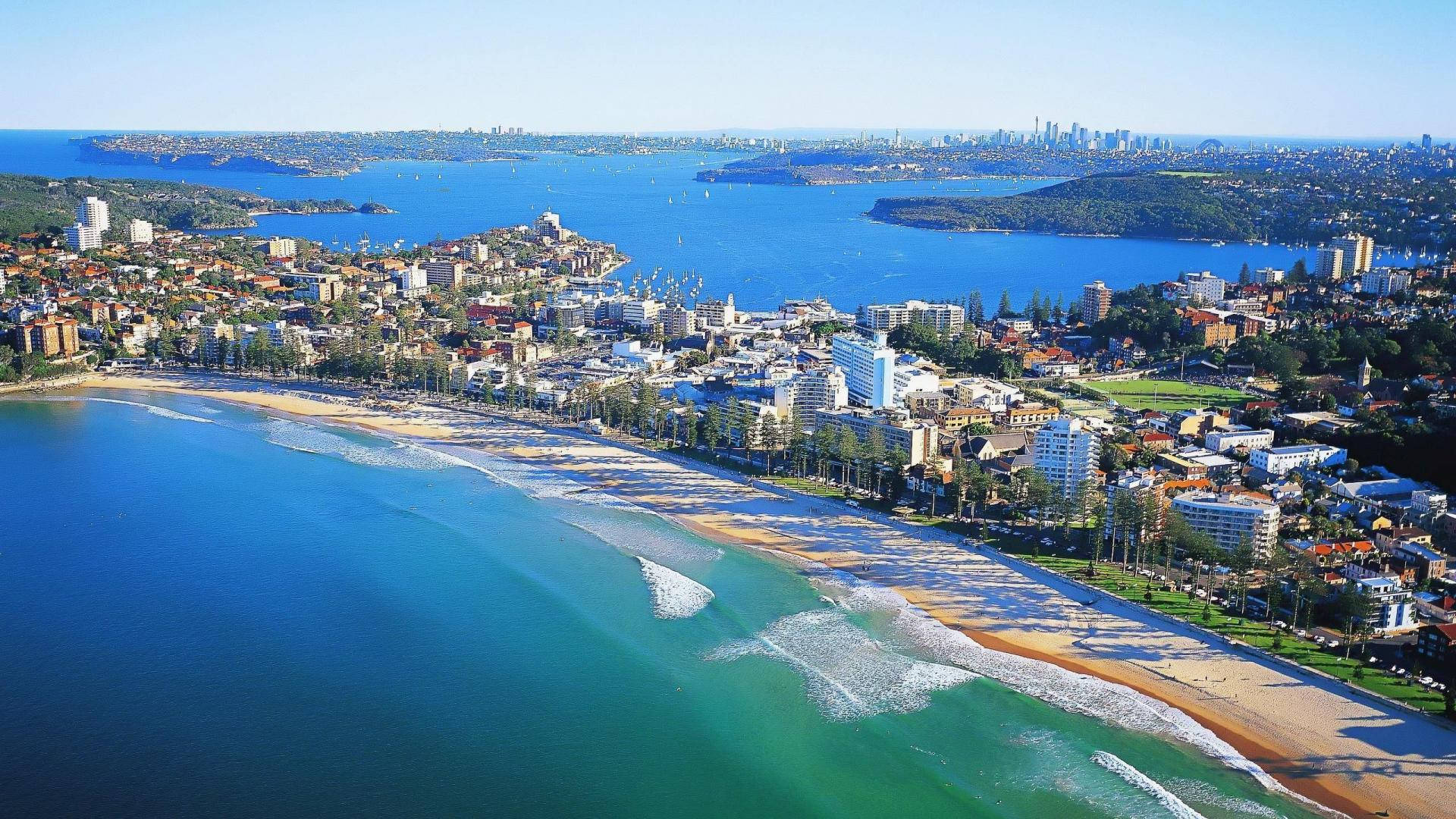 新南威爾士空中俯瞰 壁紙 — 從高空俯瞰充滿活力的沿海城市，碧綠的海水拍打著沙灘，沙灘兩旁種滿棕櫚樹和建築物，天空湛藍清澈。