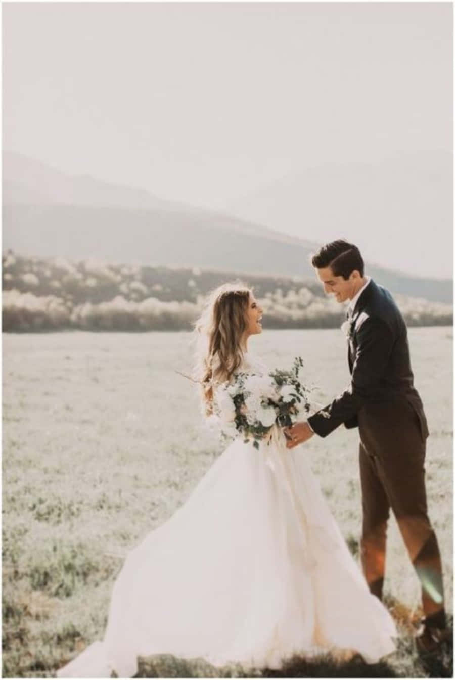 Wedding Couple 桌布 壁紙 — 新娘和新郎在陽光明媚的田野中牽手，背景是山脈。